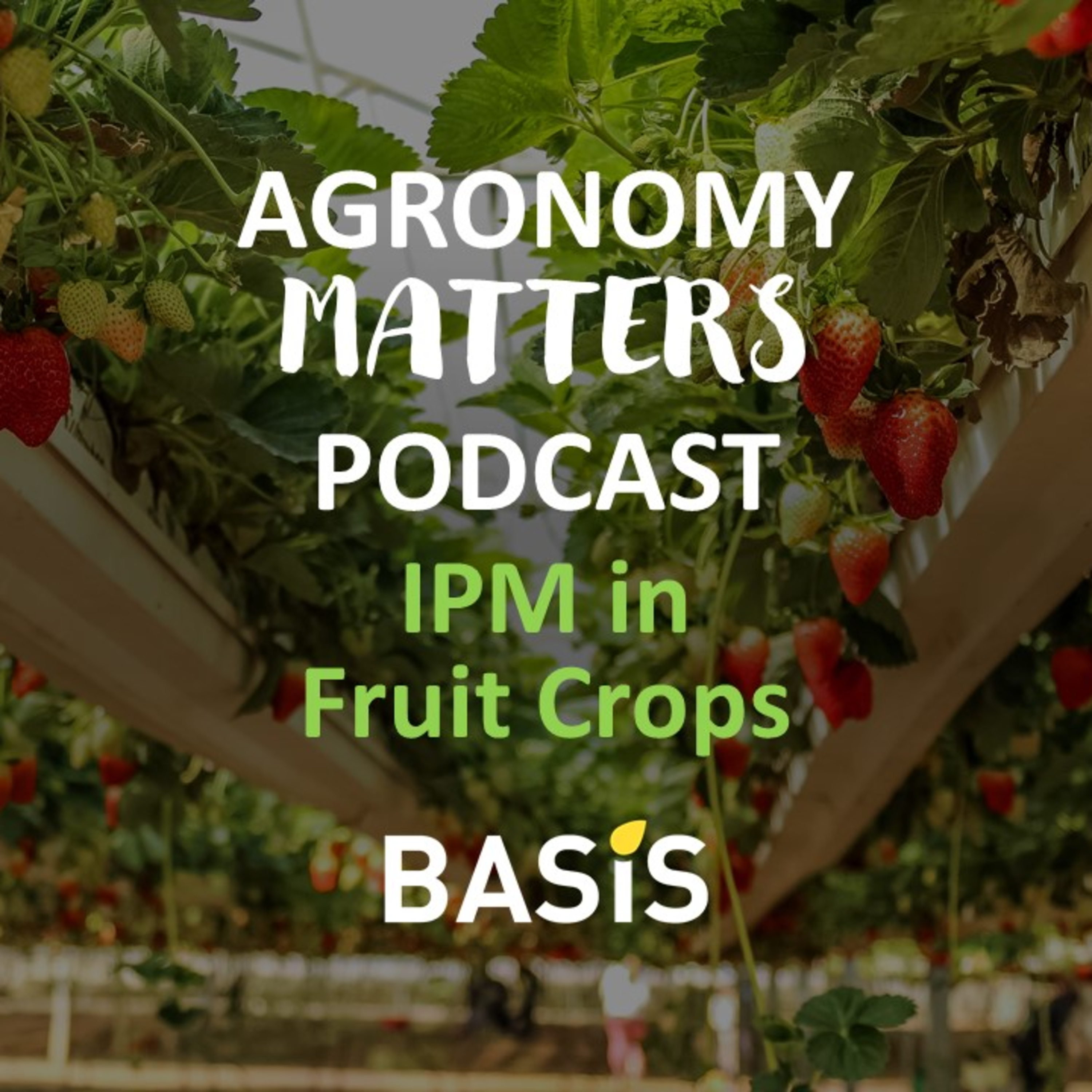 BASIS Agronomy Matters