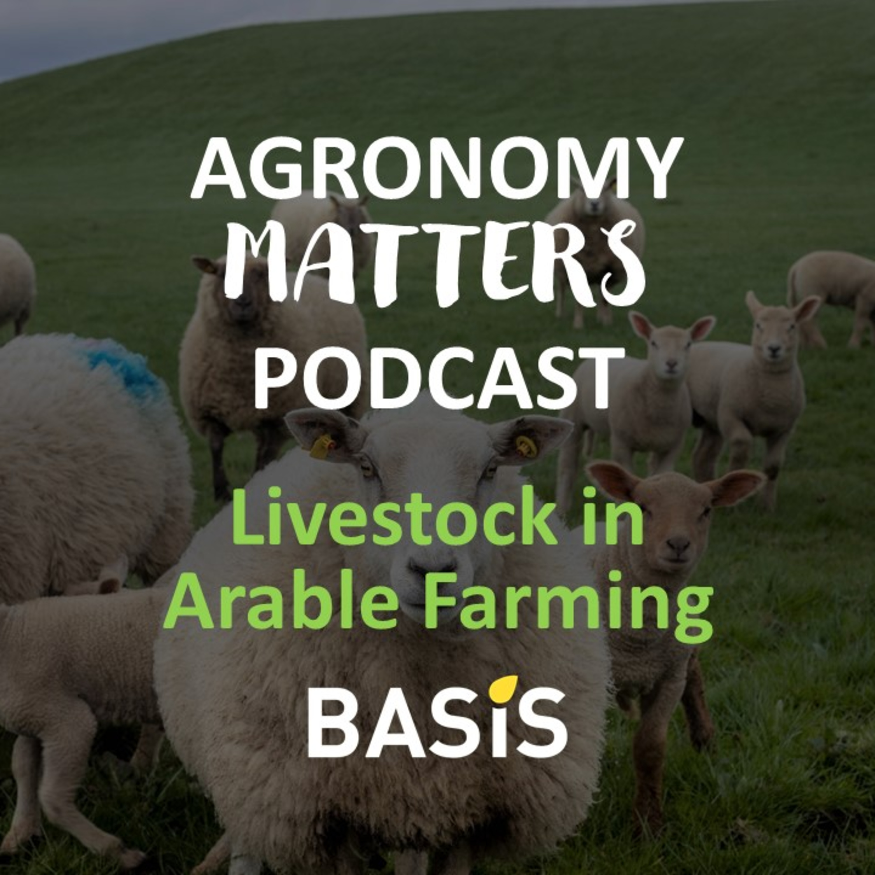 BASIS Agronomy Matters