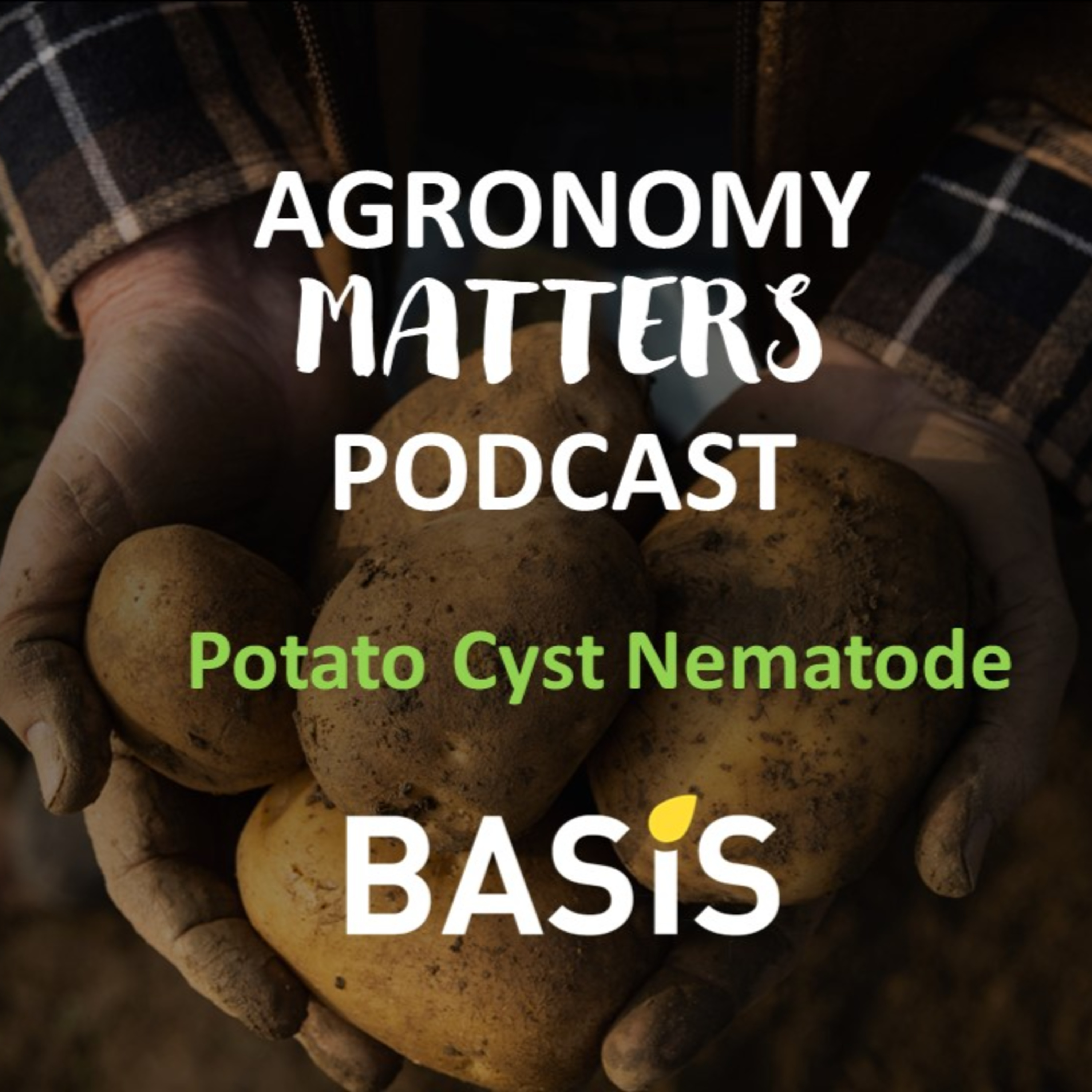 Potato Cyst Nematode 