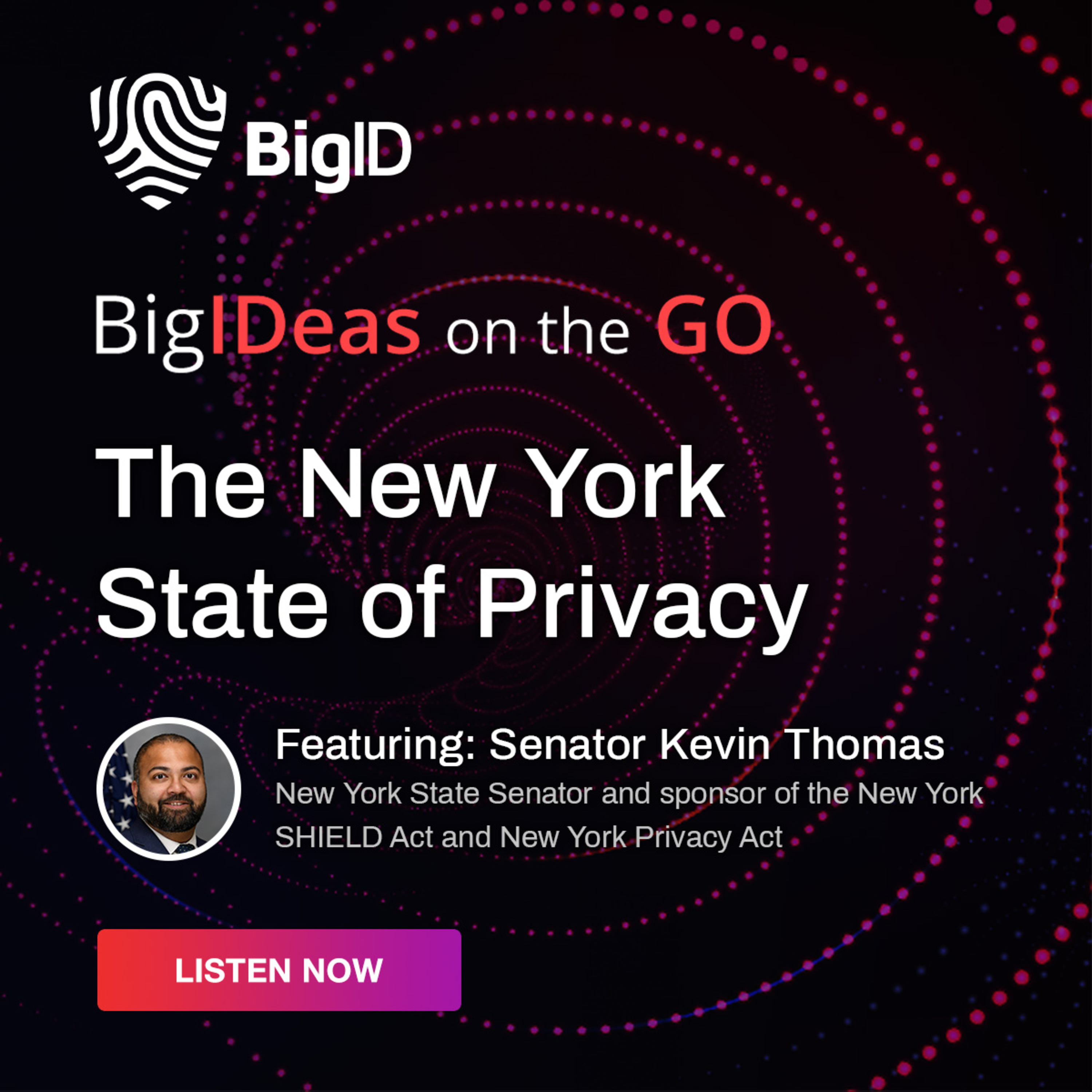 BigIDeas On The Go