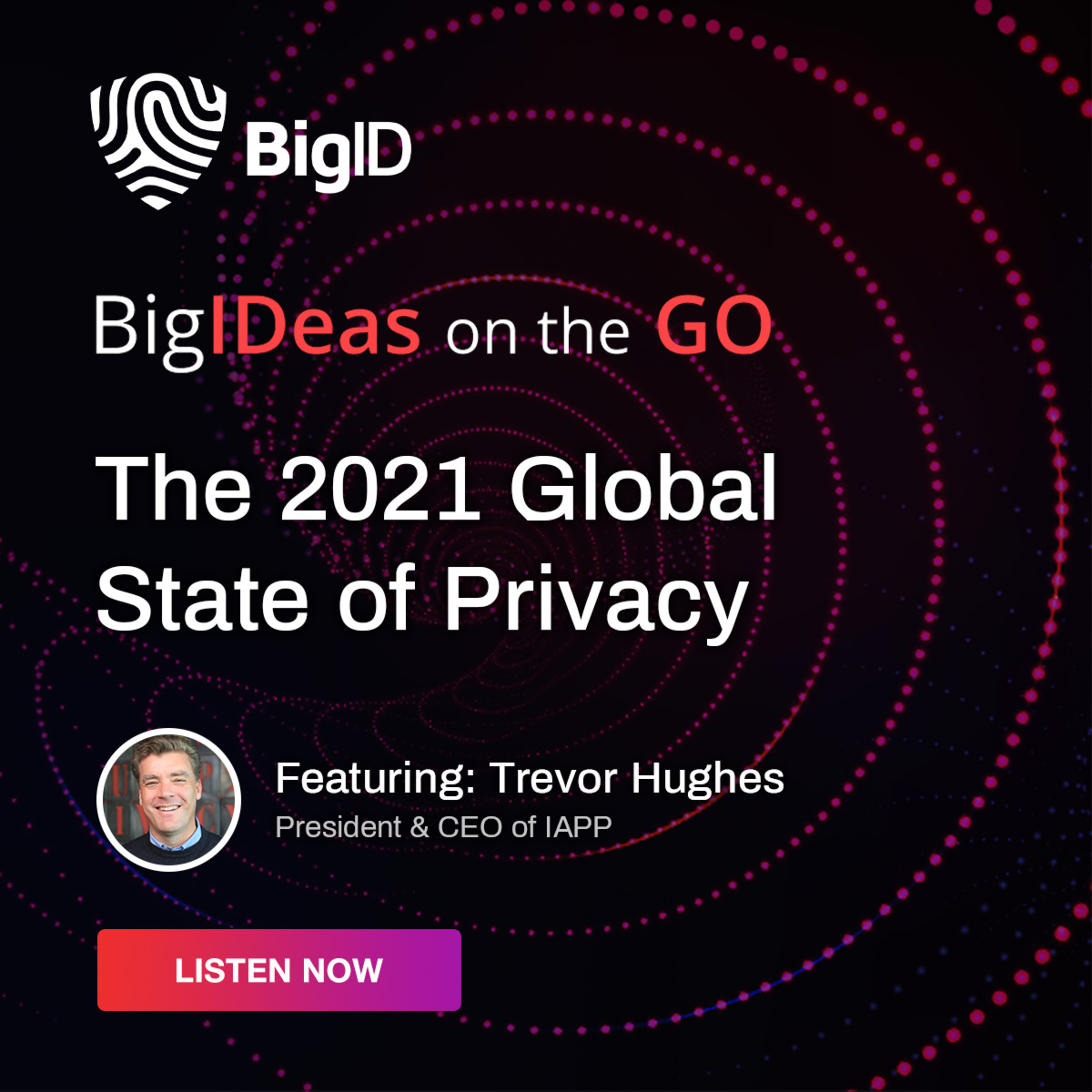 BigIDeas On The Go