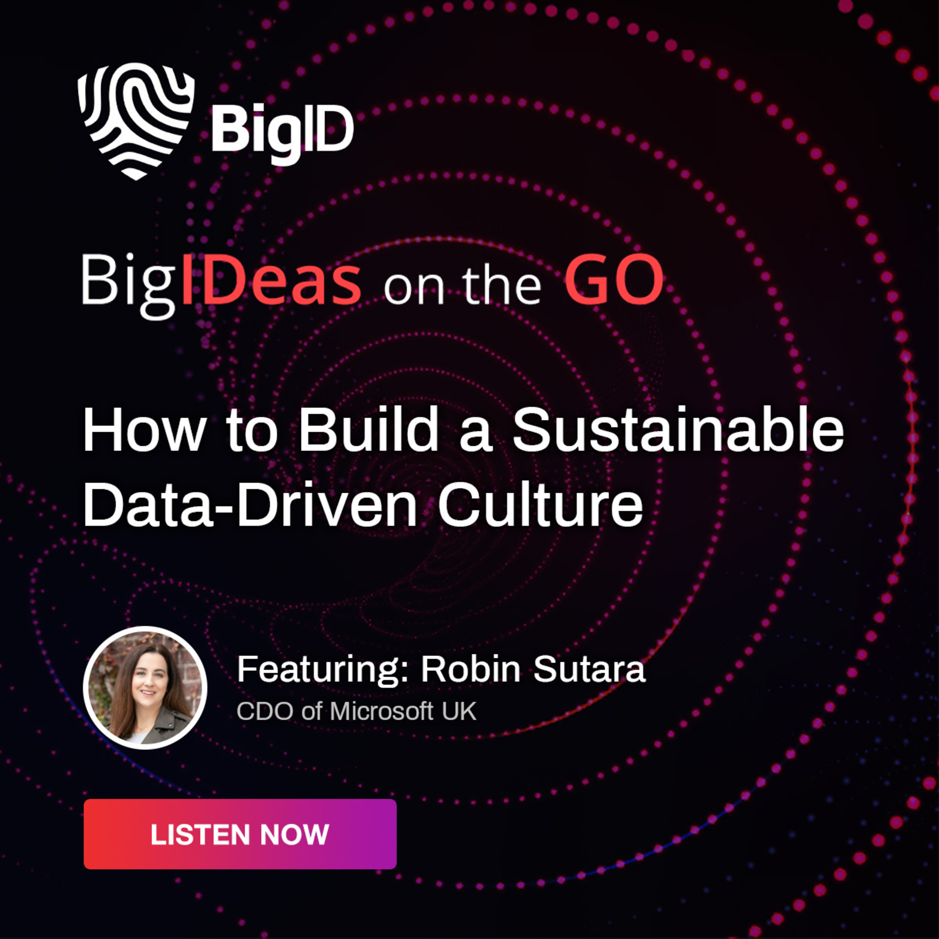 BigIDeas On The Go