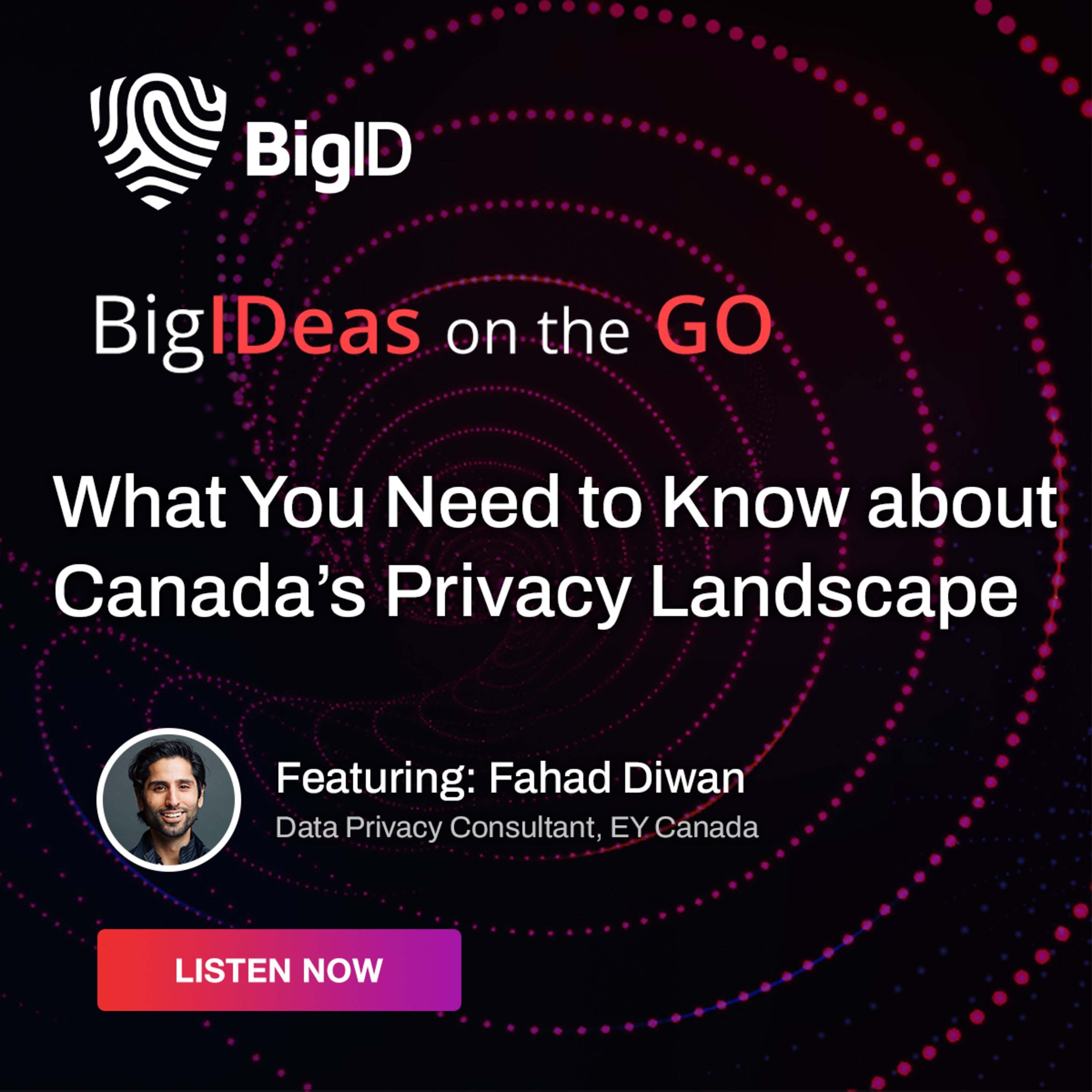 BigIDeas On The Go