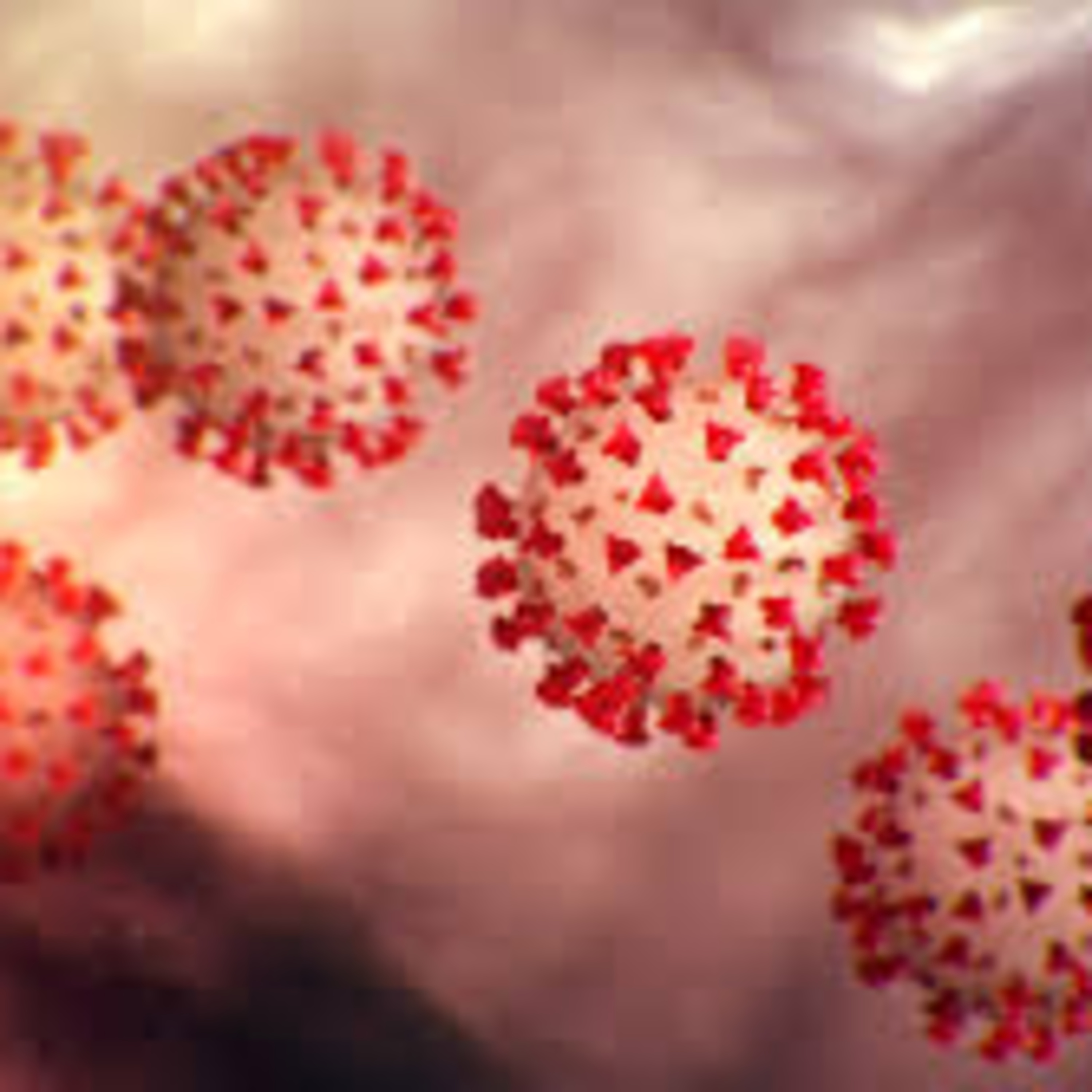 my thoughts on the coronavirus