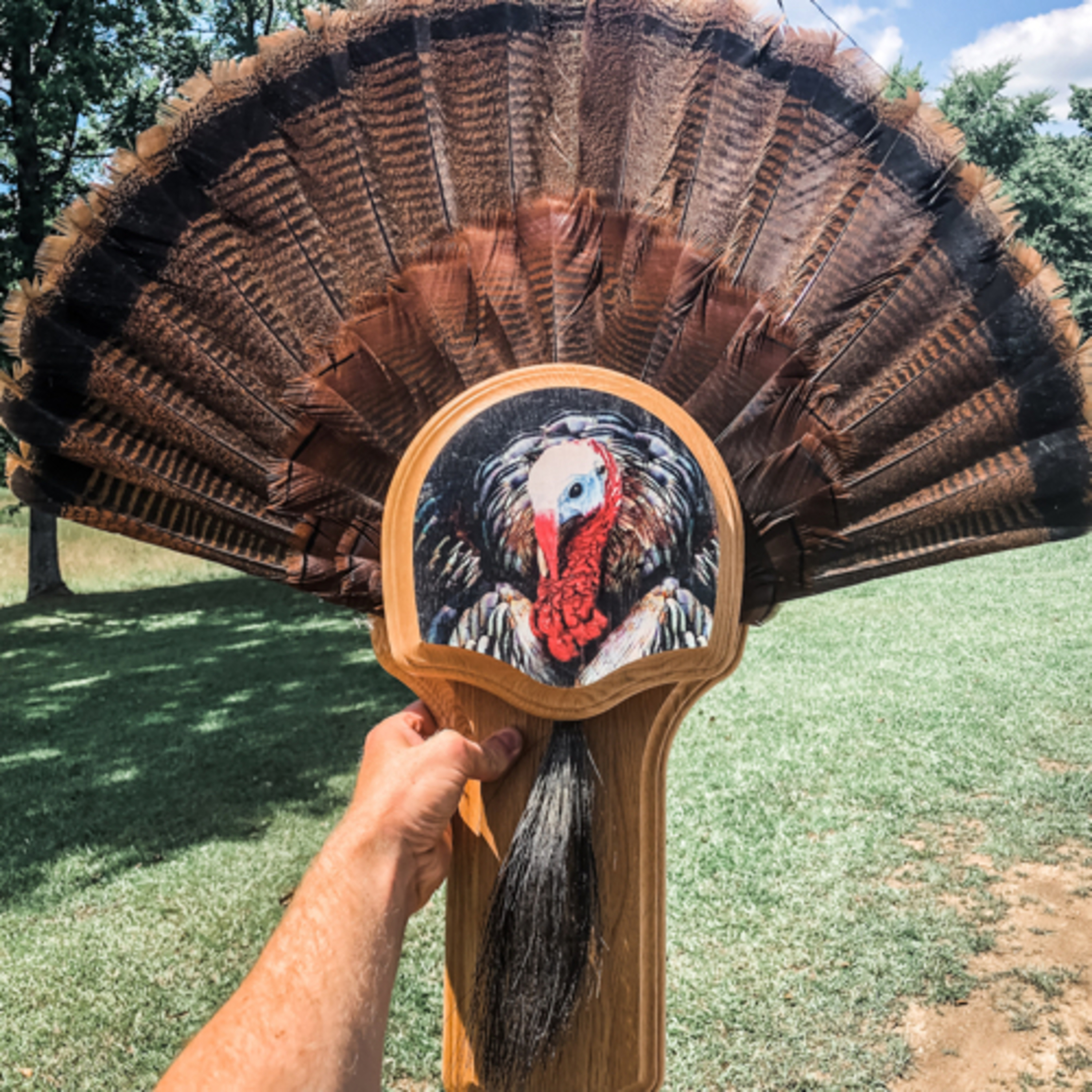 Putting Pieces Together with Ferguson Taxidermy 