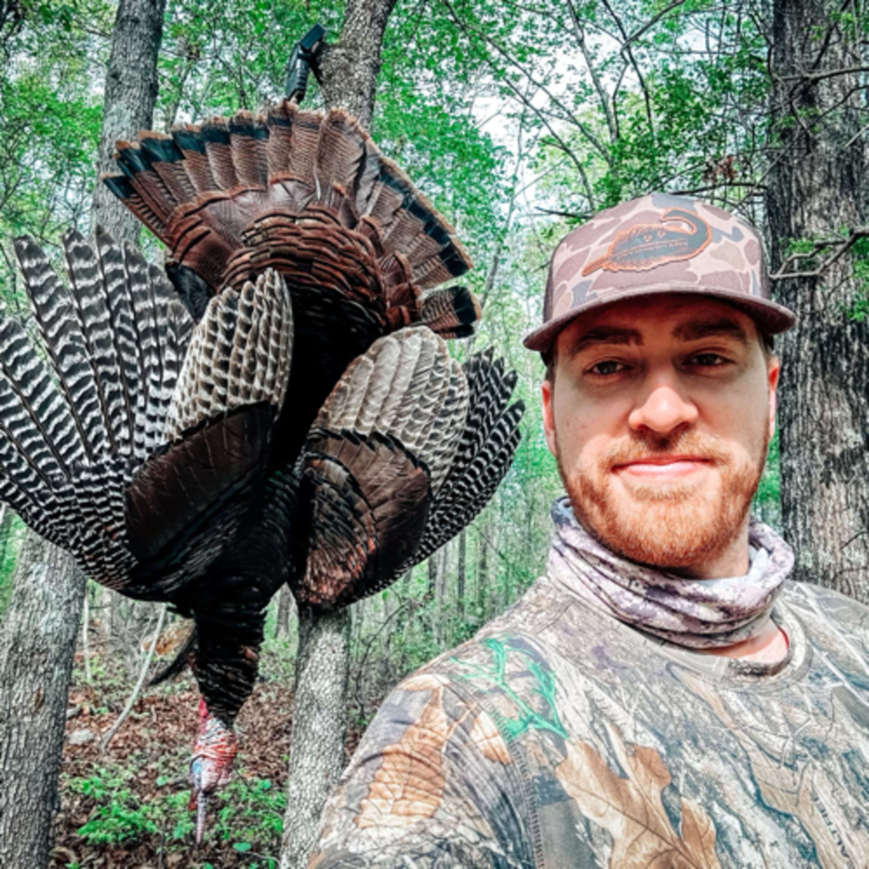 “Deer Hunting Turkeys”