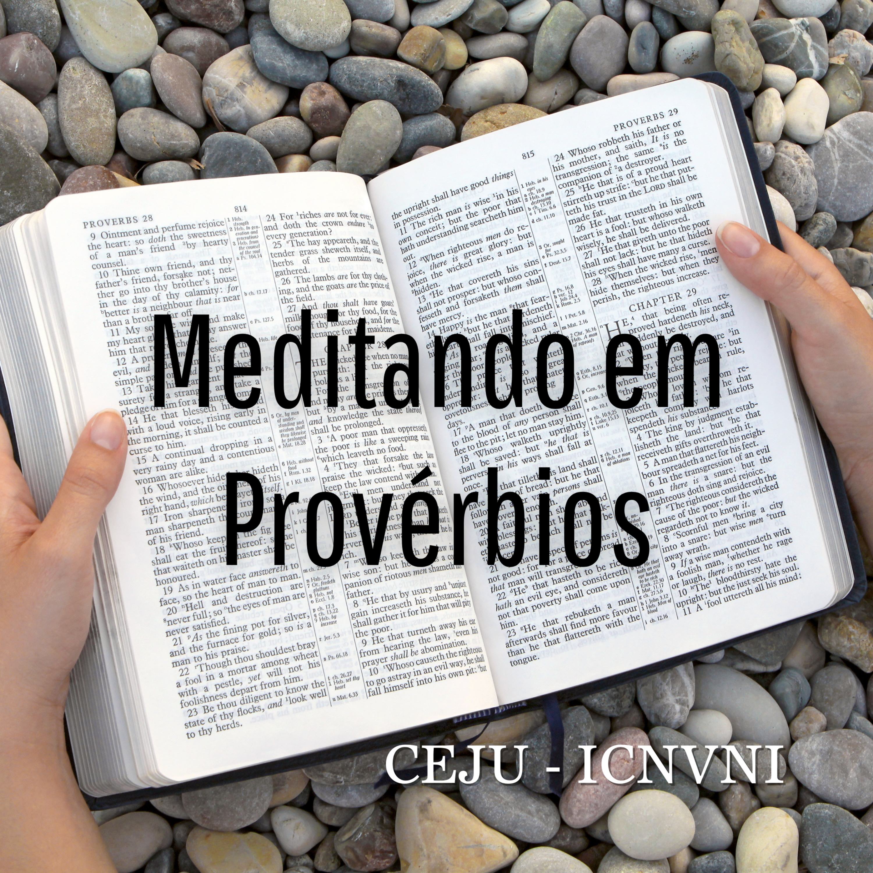 Meditando em Provérbios 1