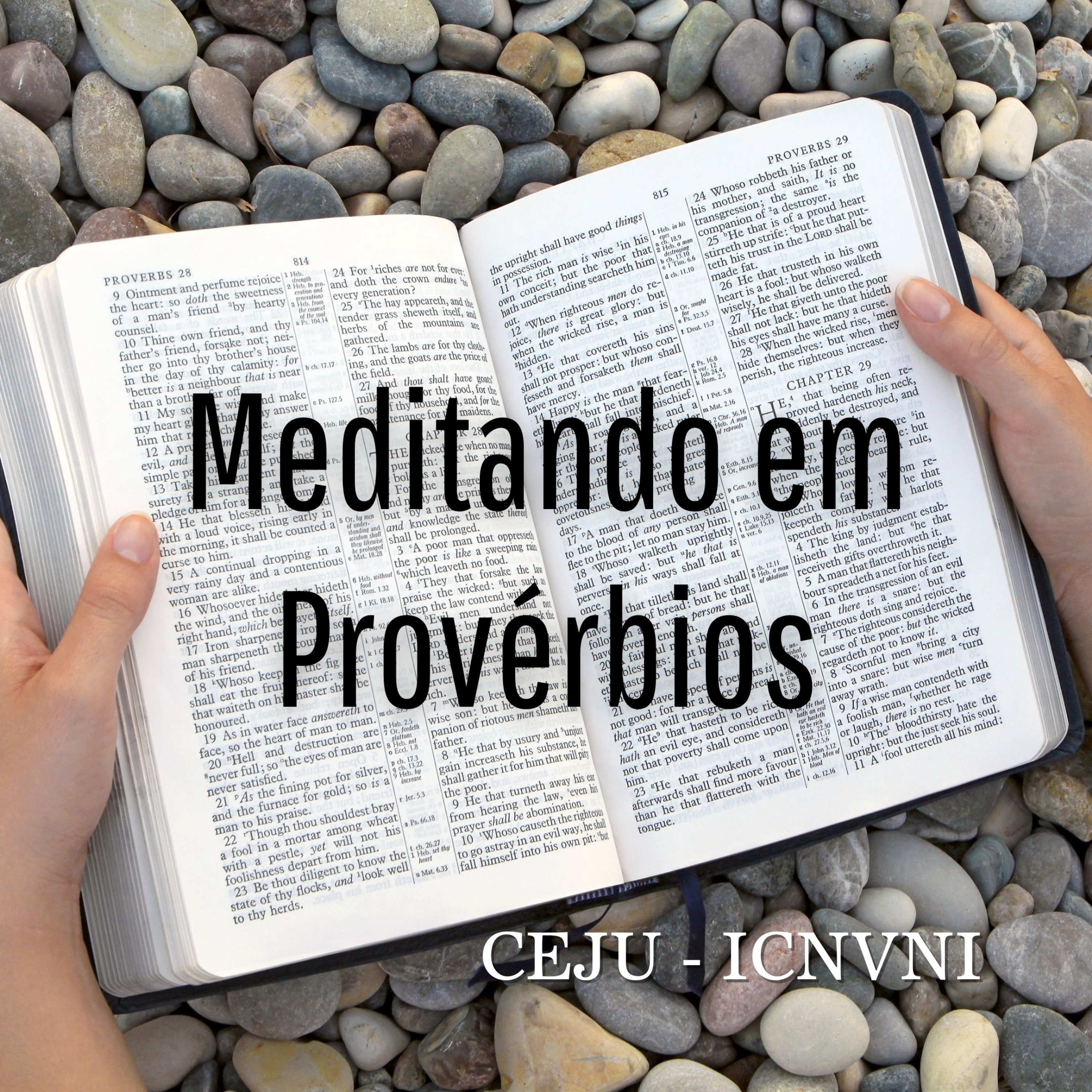 Meditando em Provérbios 20