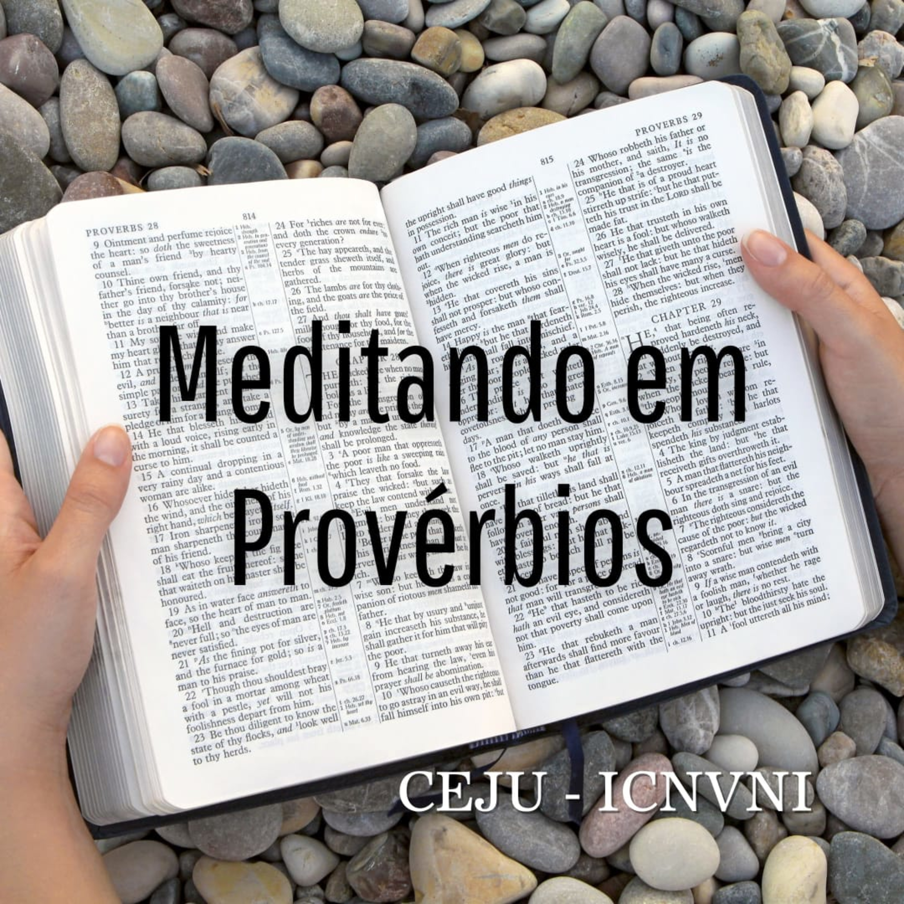 Meditando em Provérbios 26