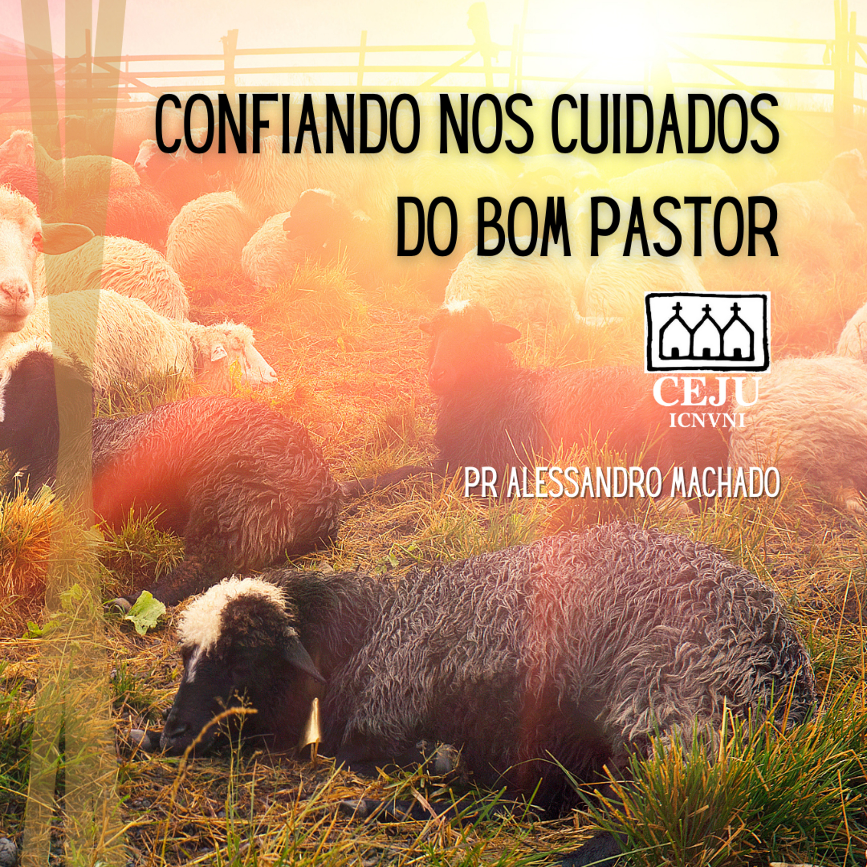 Confiando nos cuidados do Bom Pastor