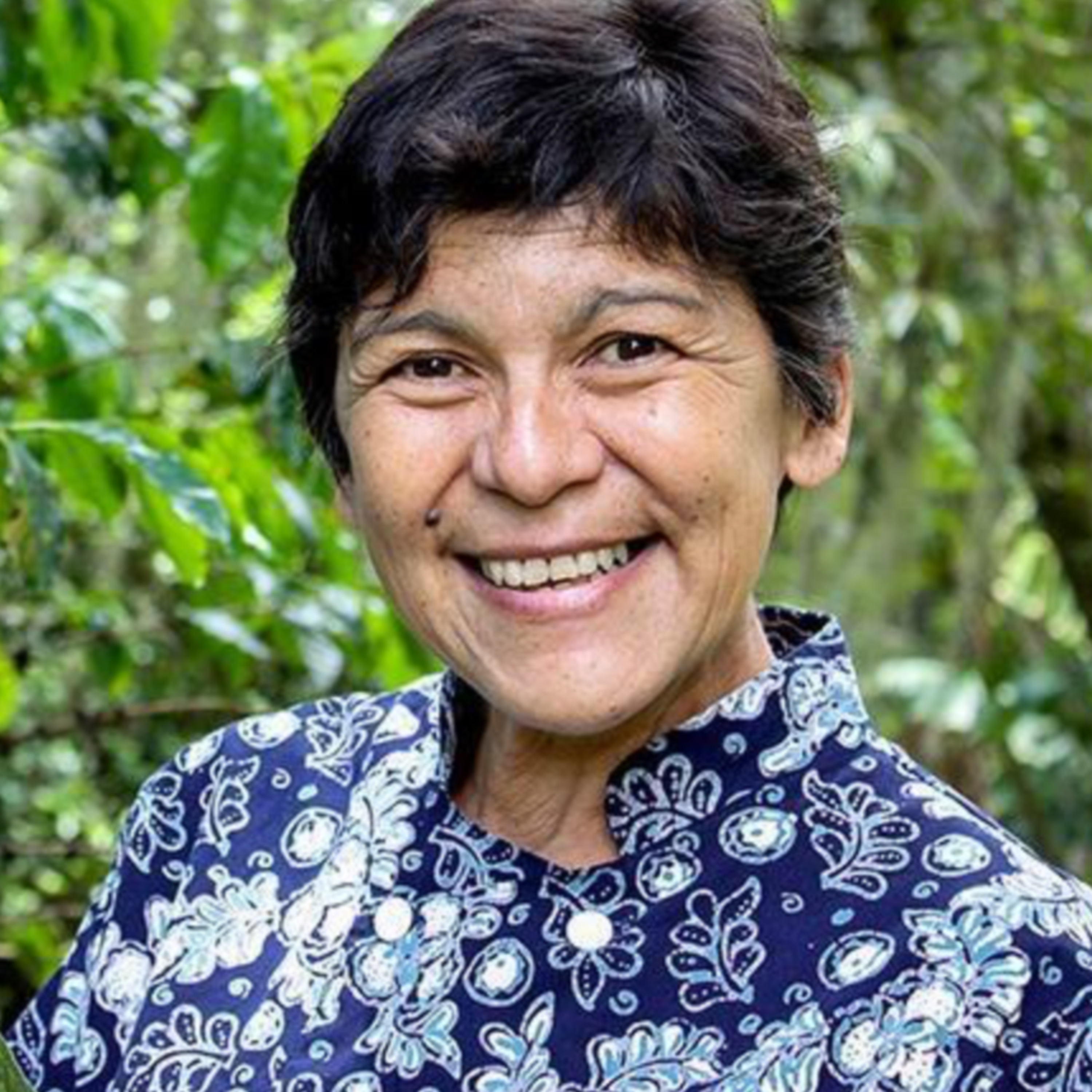 Peace Through Vision (The Podcast)