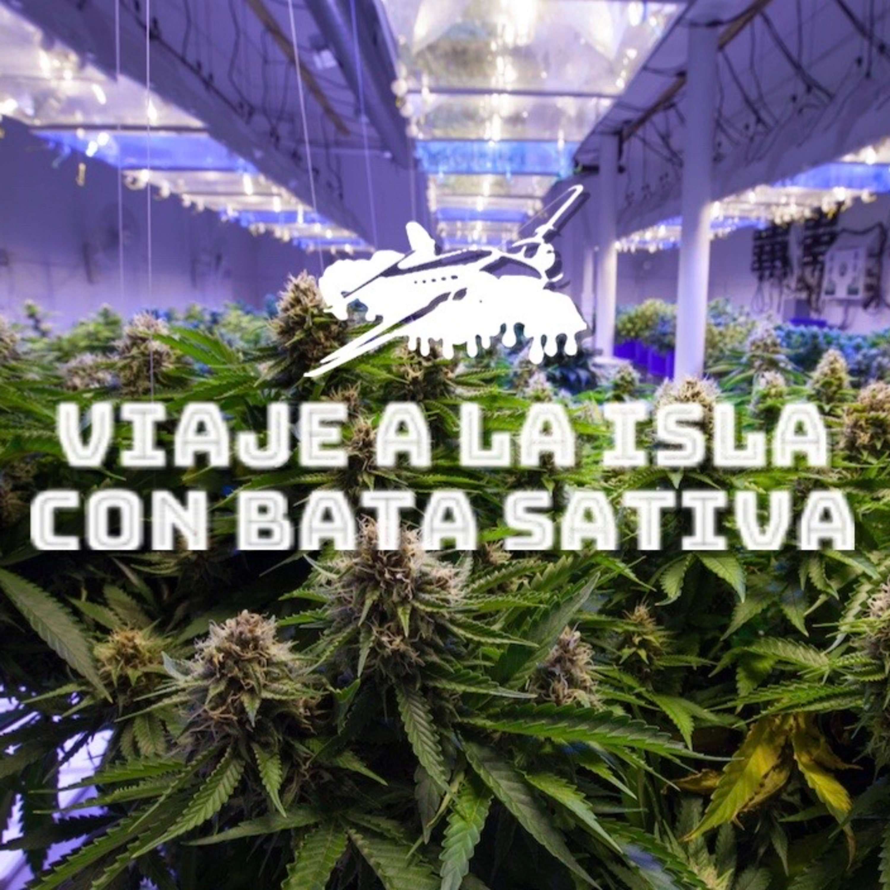 Viaje a la isla Podcast