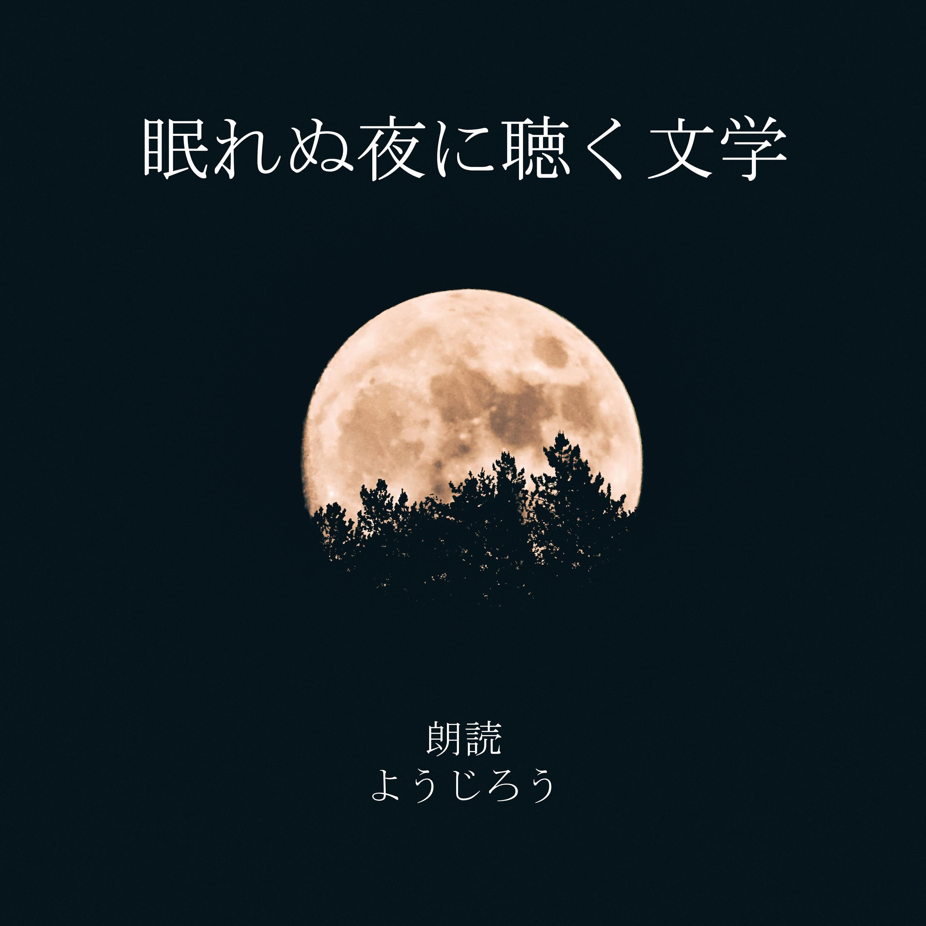 眠れぬ夜に聴く文学No.26 episode artwork