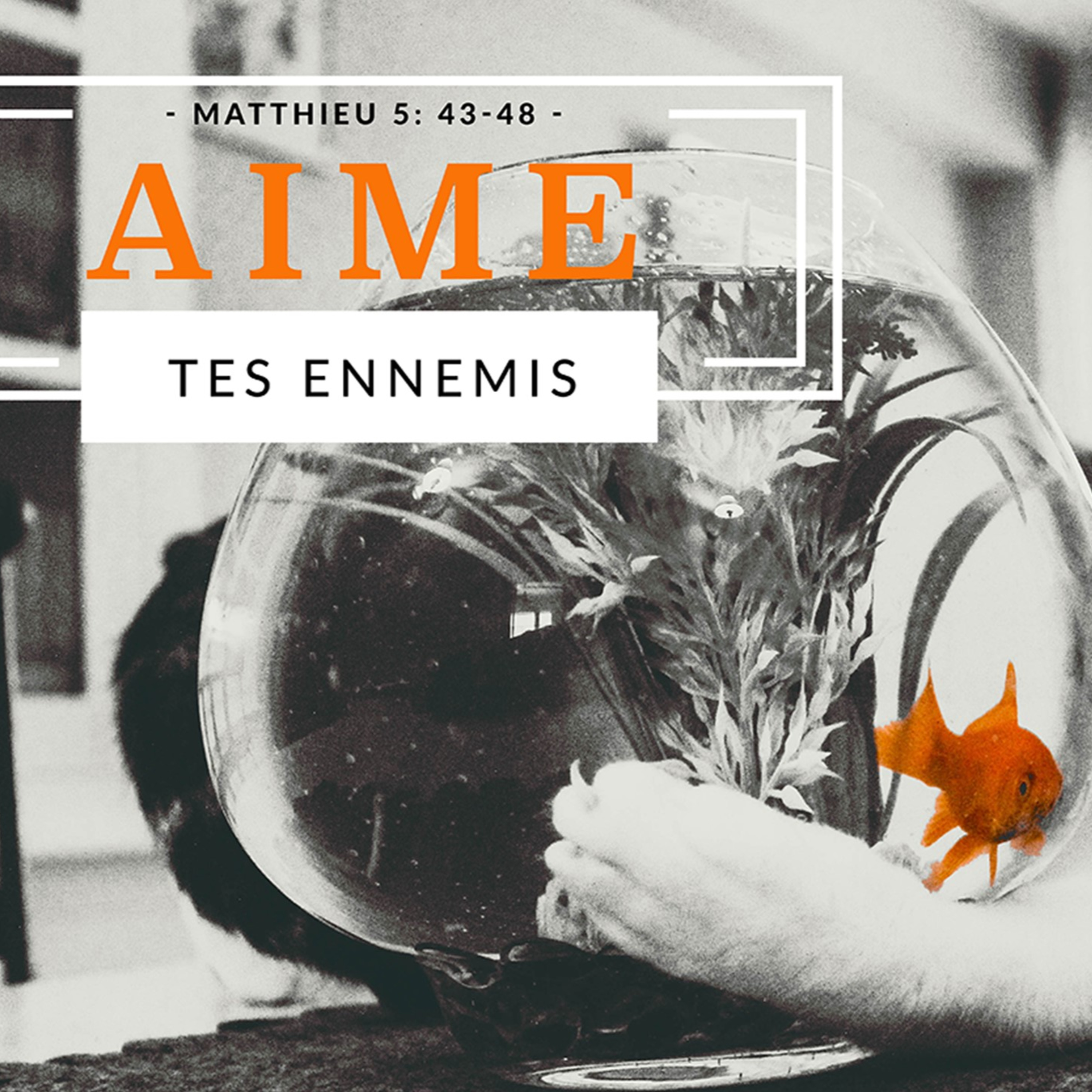 Église Communautaire Mosaïque Podcast Audio