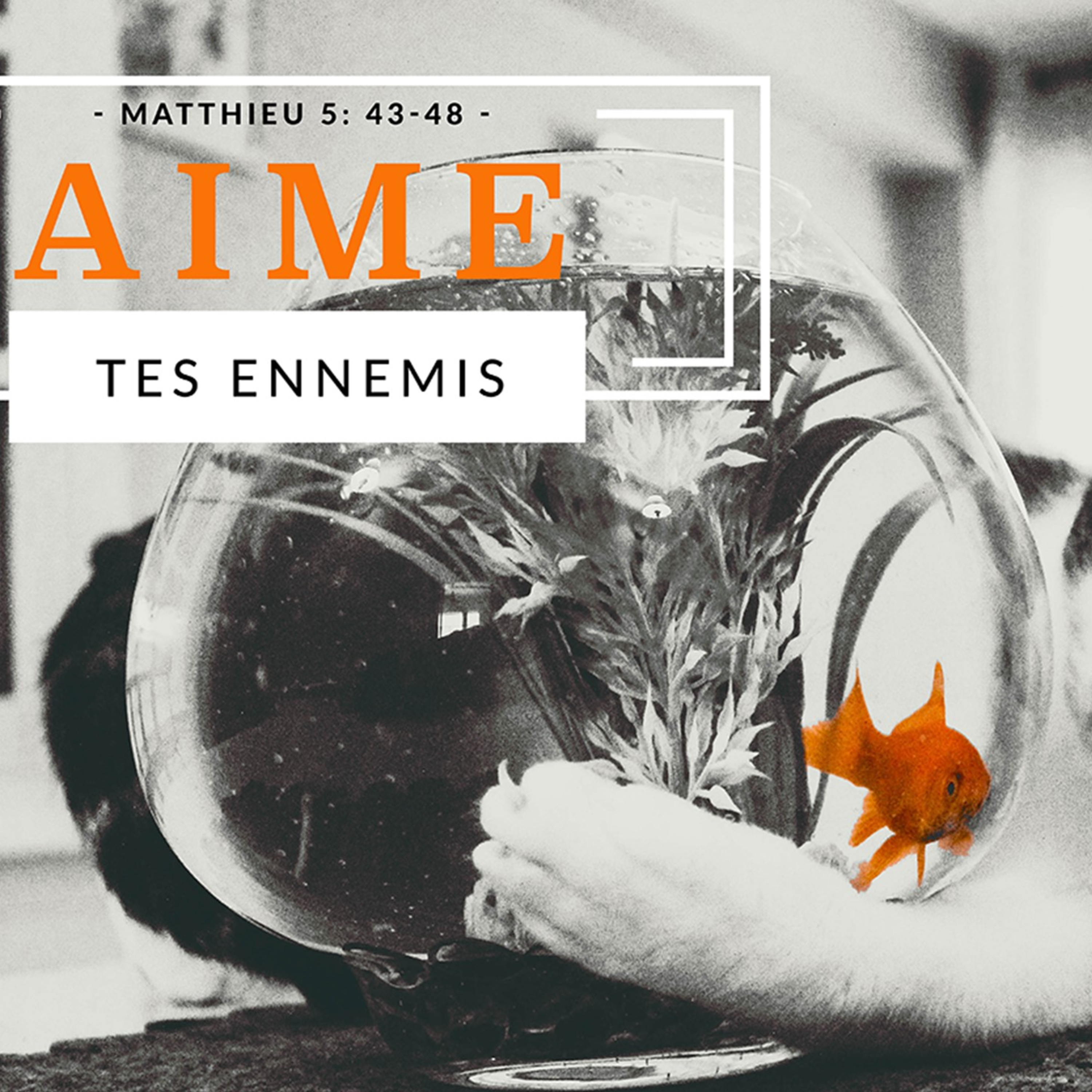 Église Communautaire Mosaïque Podcast Audio
