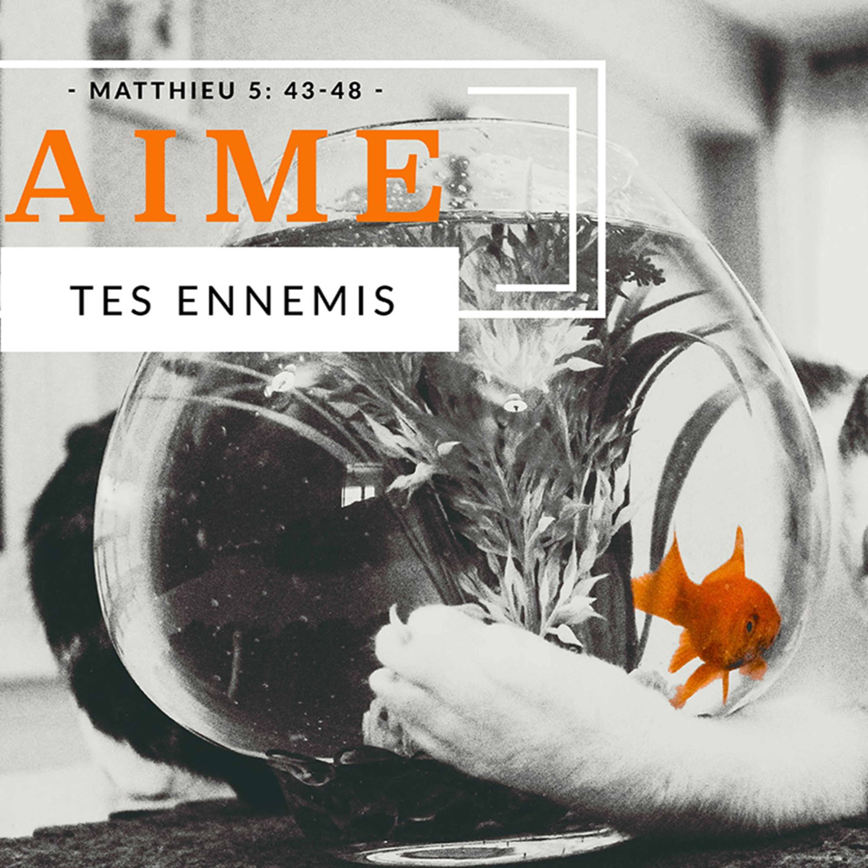 Église Communautaire Mosaïque Podcast Audio