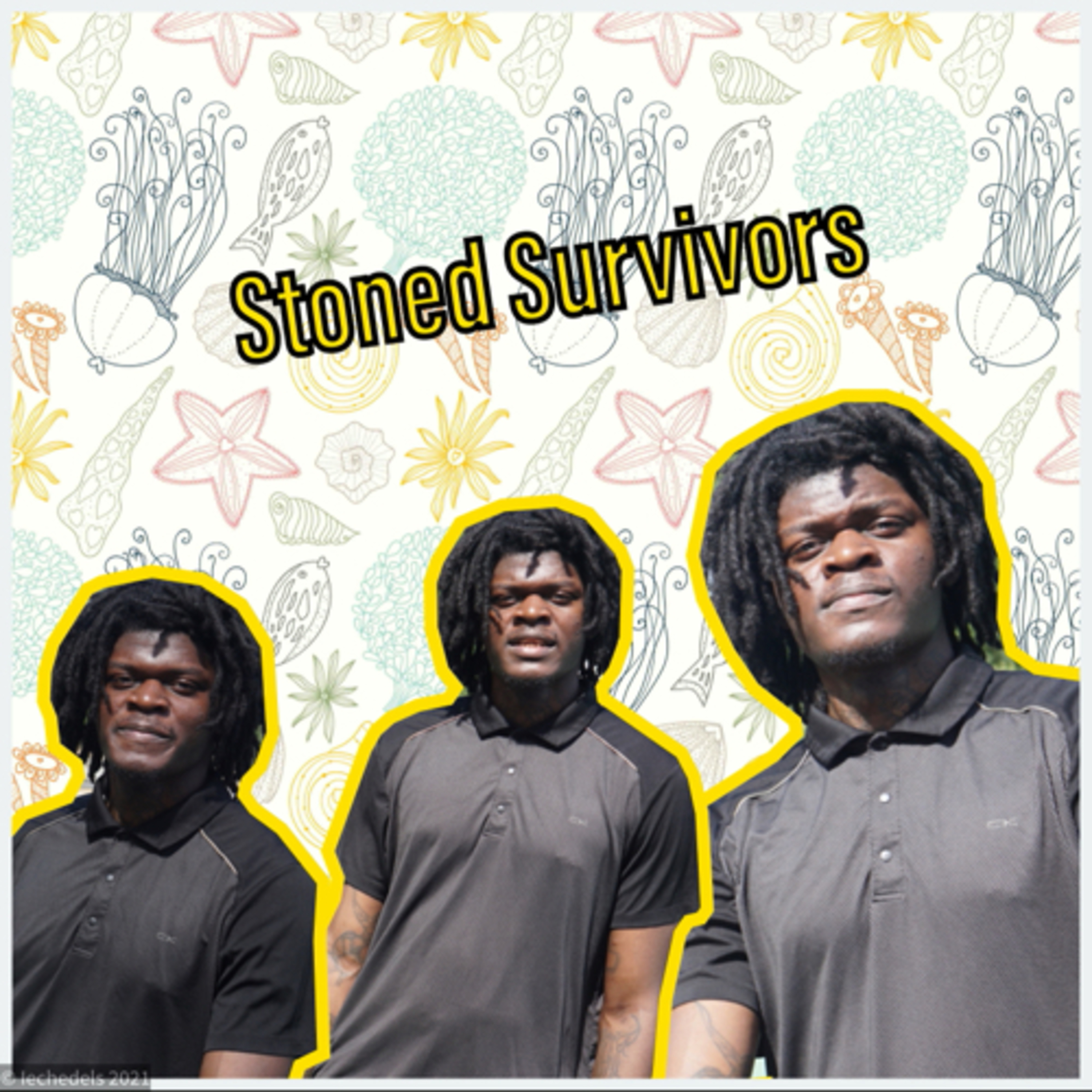Stoned Survivors episode artwork