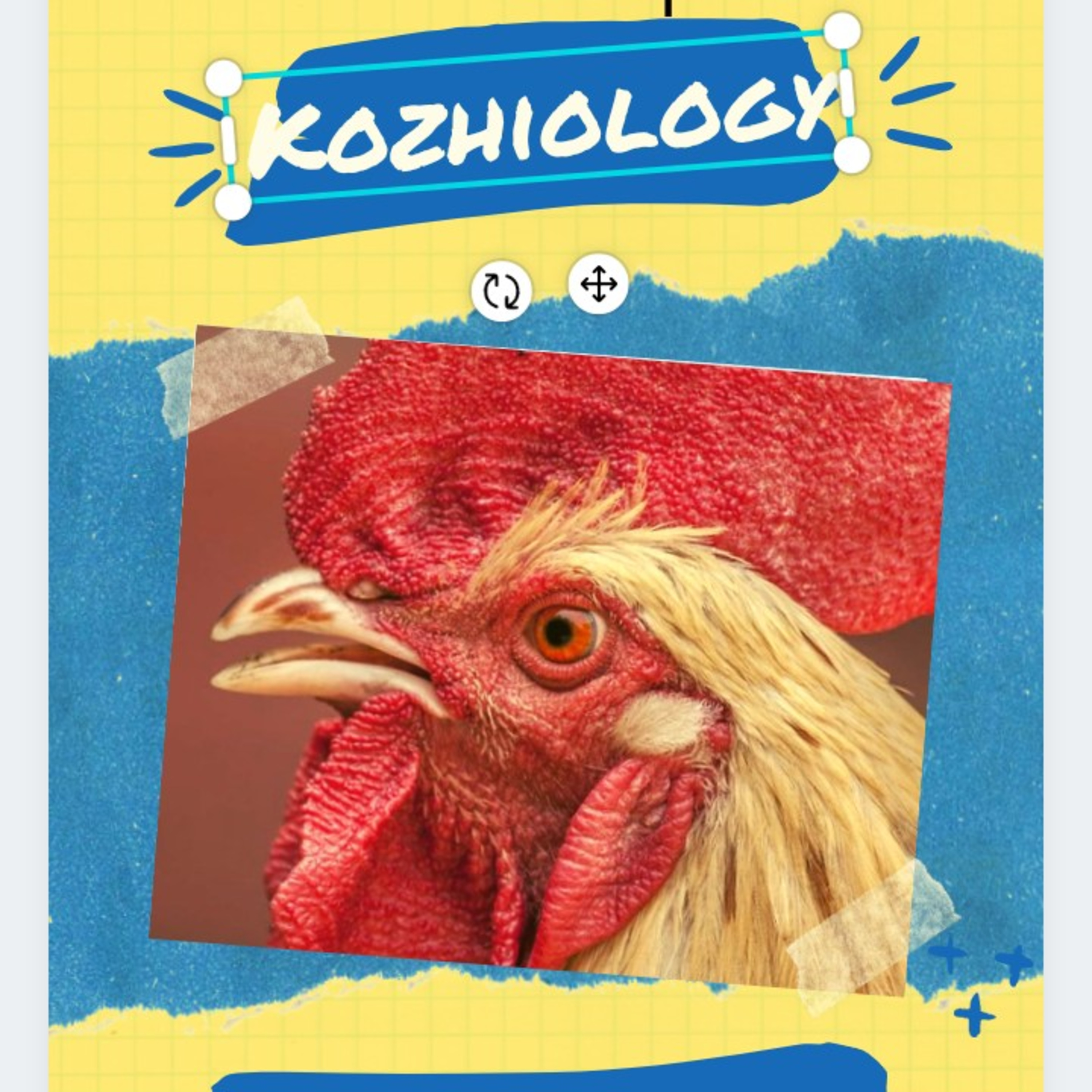 KOZHIOLOGY-one minute comedy segment 4 Malayalam podcast episode artwork