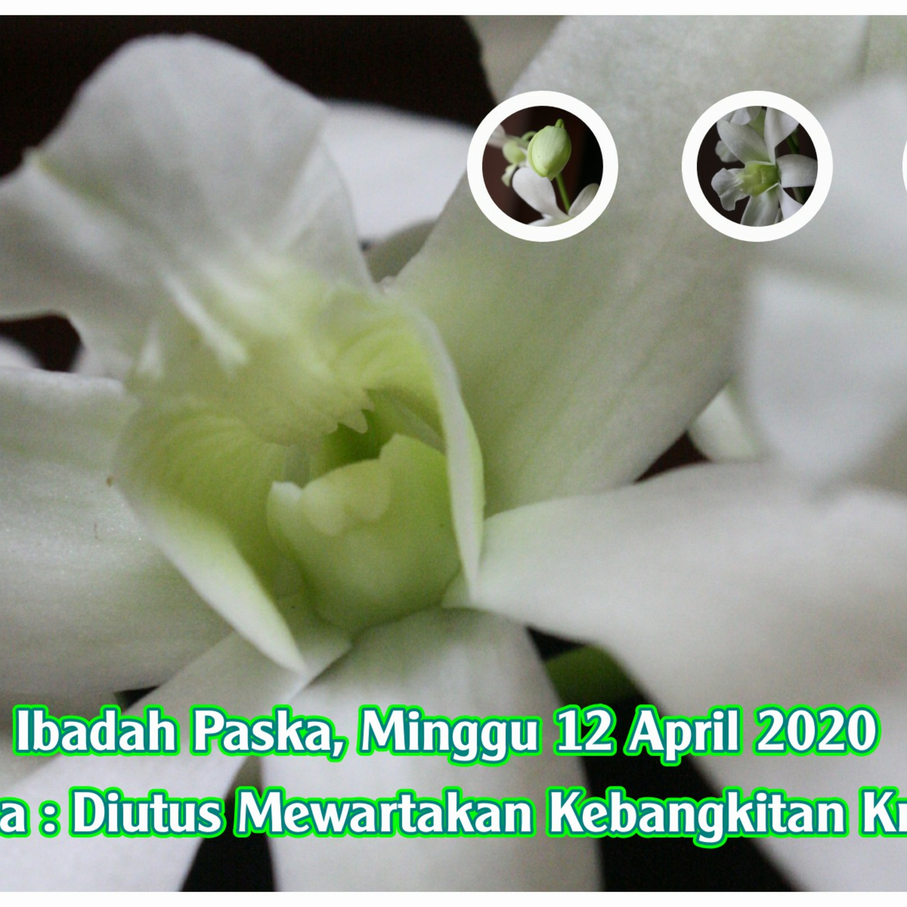 Jemaat Philadelfia Yogyakarta