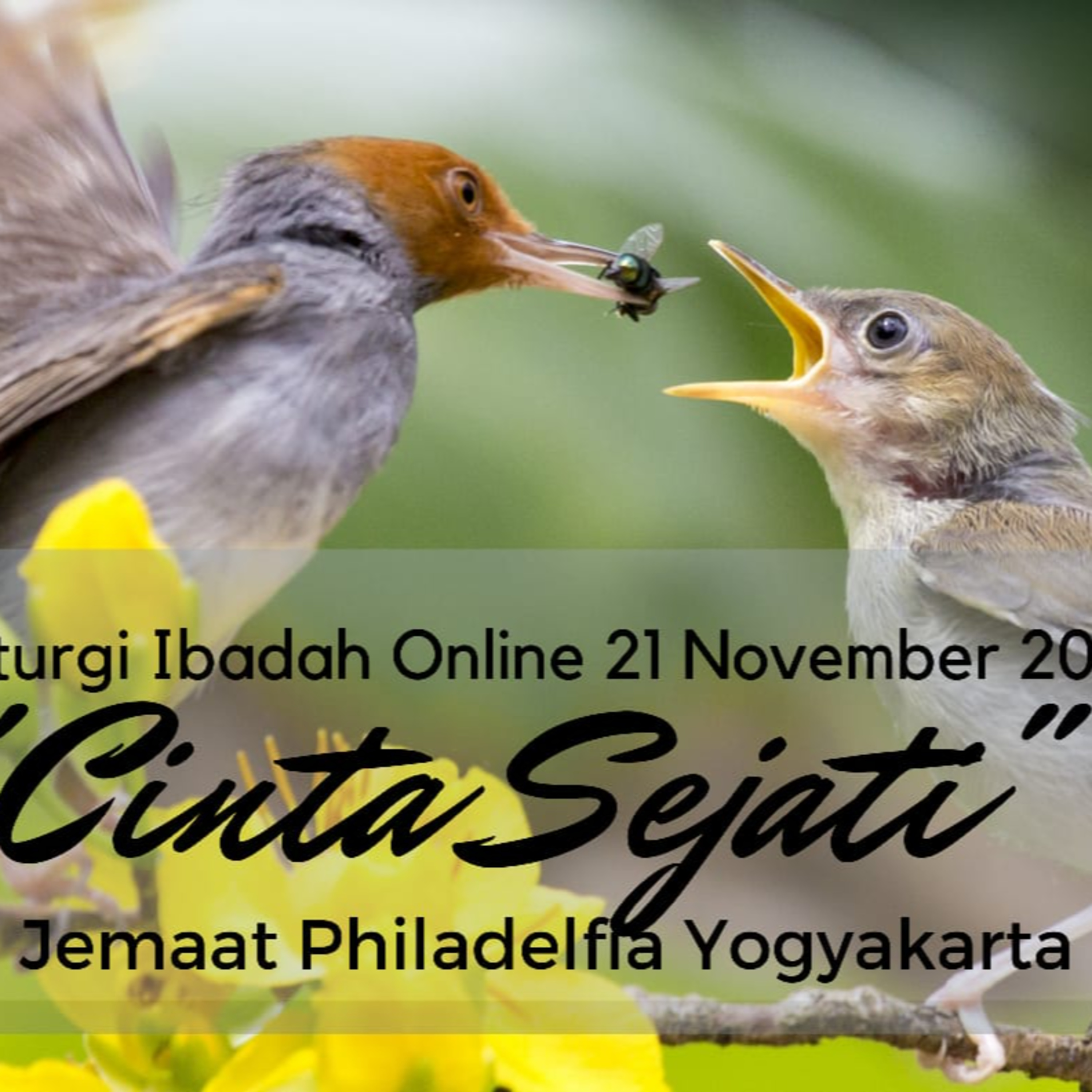 Jemaat Philadelfia Yogyakarta