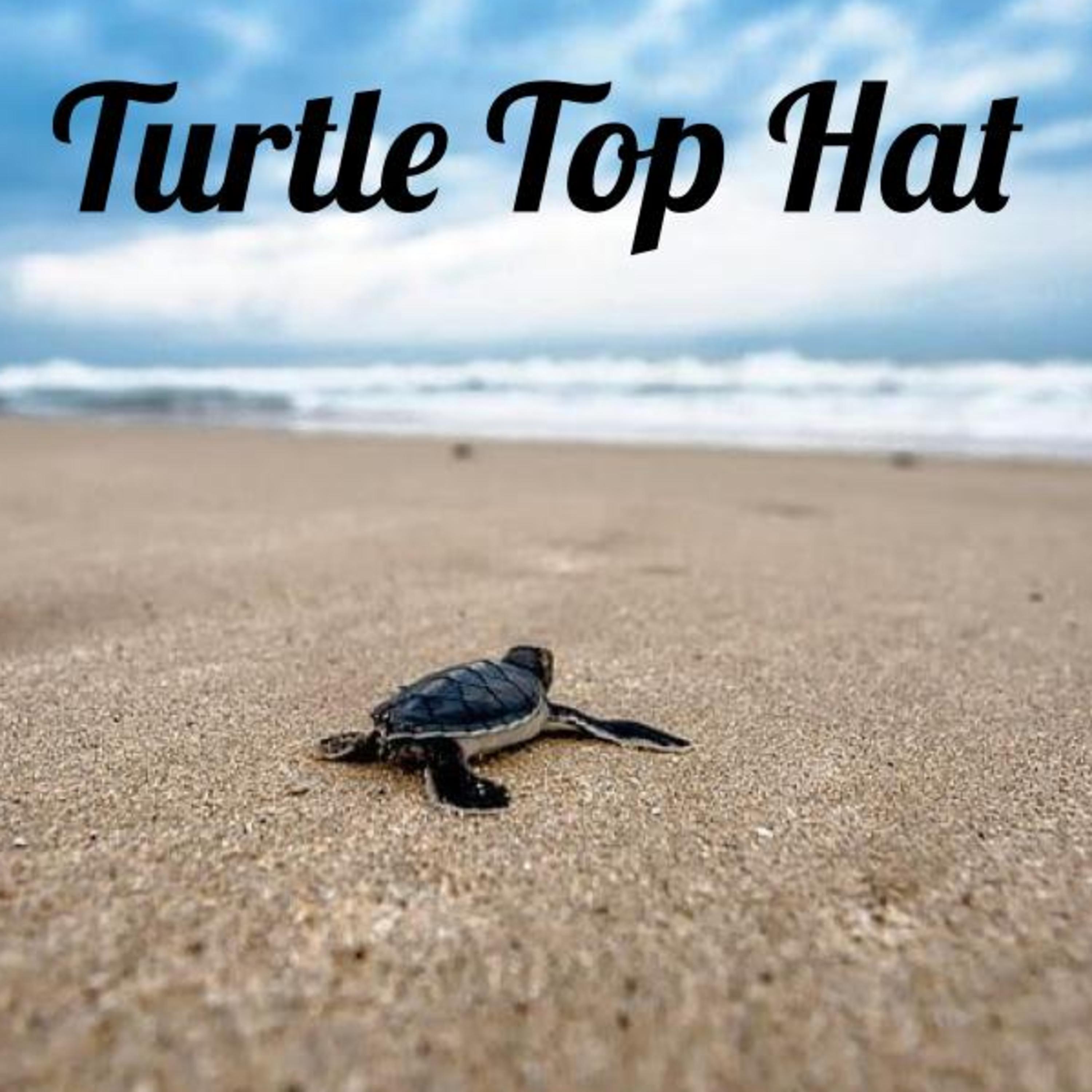 Turtle Talks: Avatar the Last Airbender Book 1 Ep 1