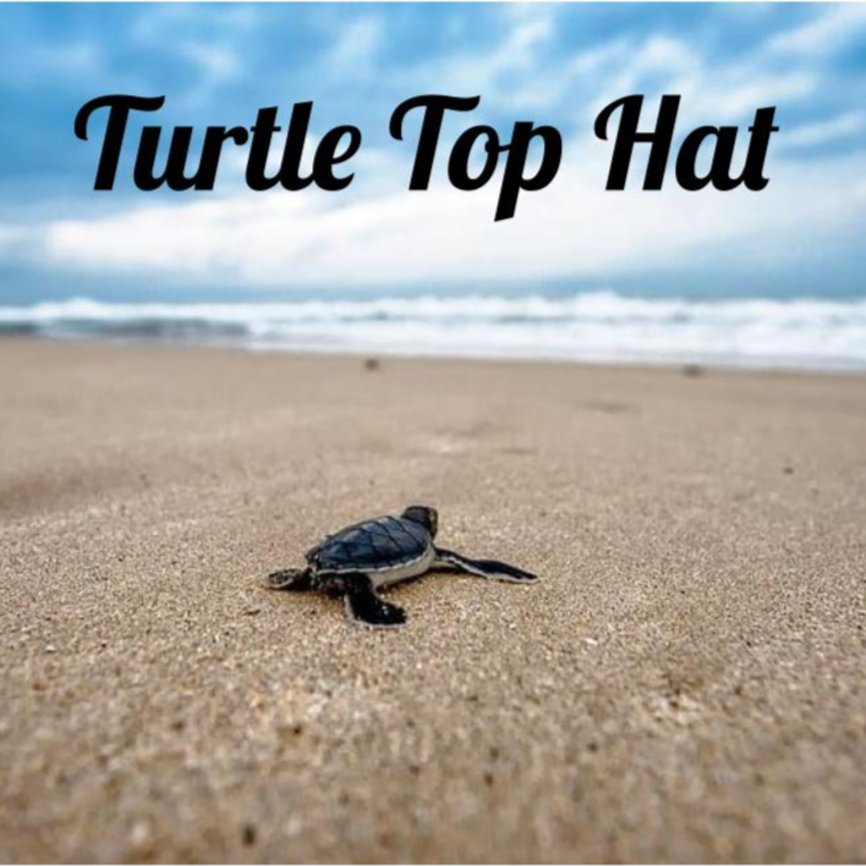 Turtle Talks: Avatar the Last Airbender Book 1 Episode 3