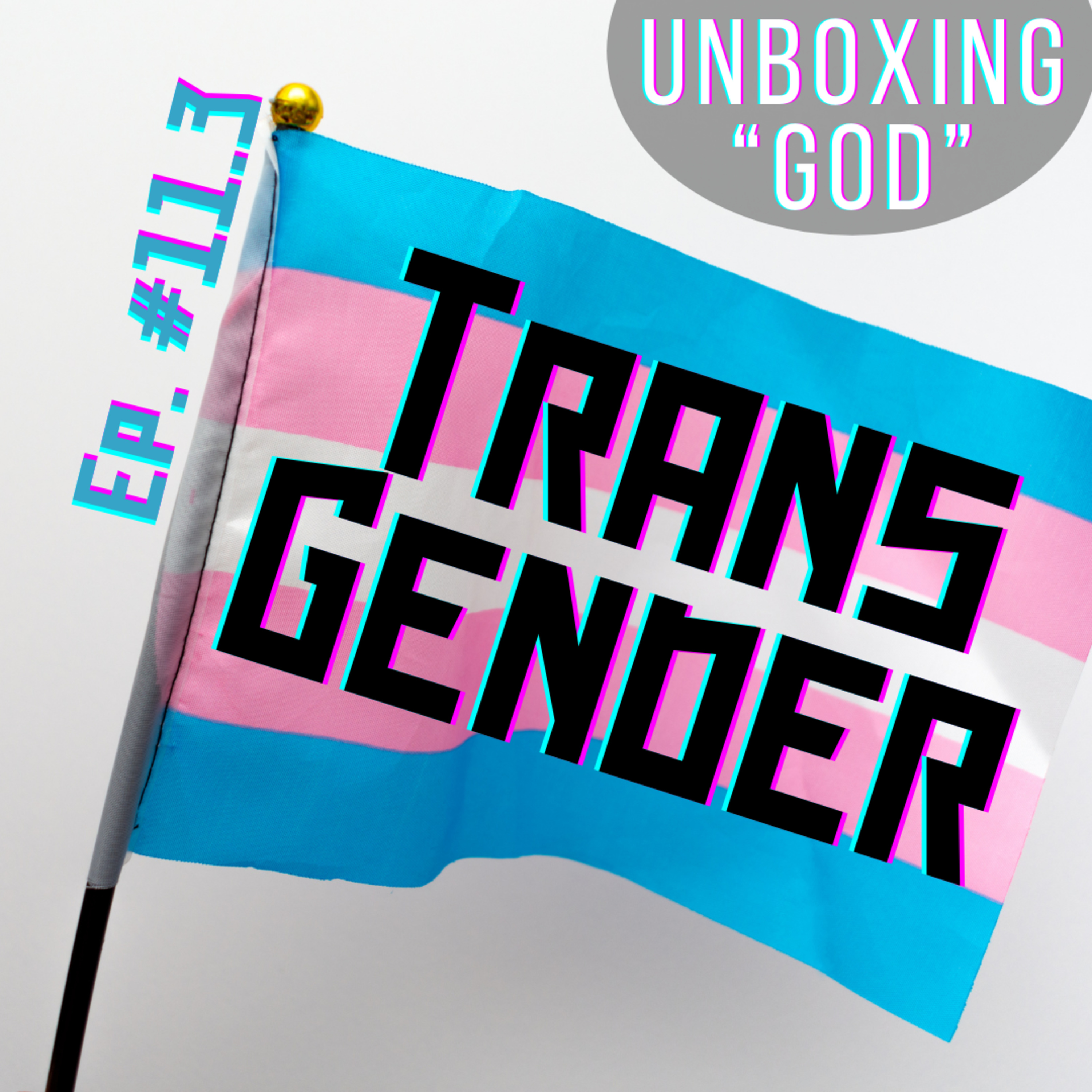 Trans (or 3rd) Gender - History, Sports + More [Ep #11.3] episode artwork