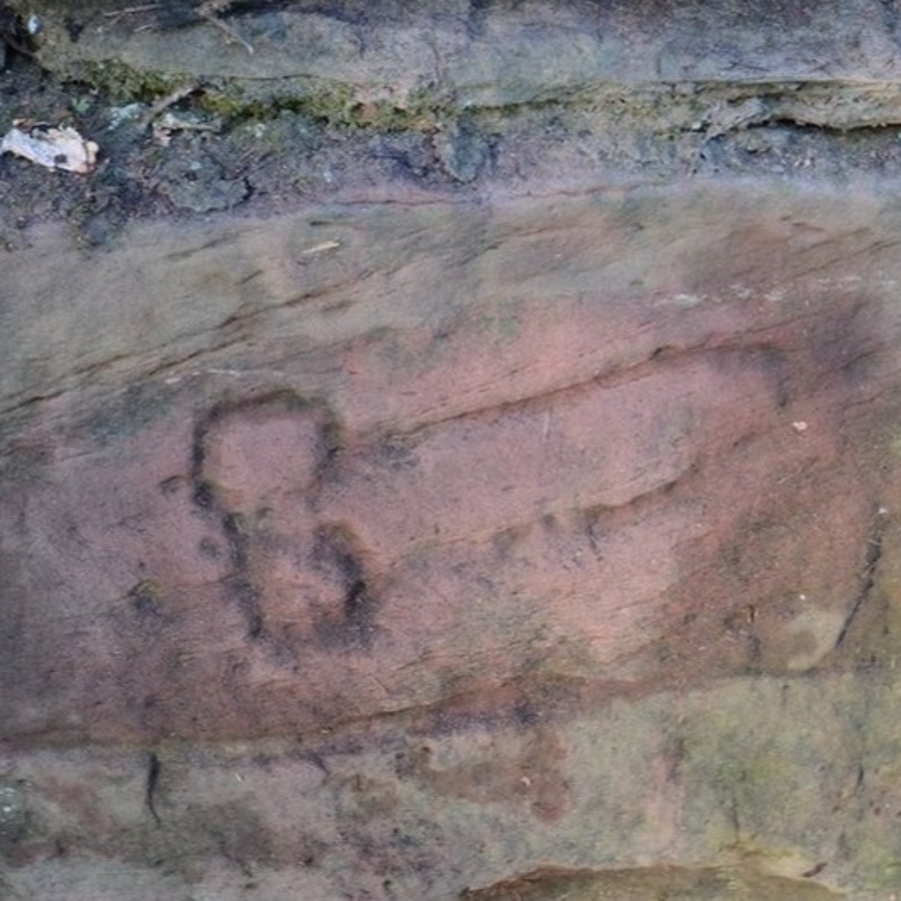 #64: All Caveman Paintings Are Penises episode artwork