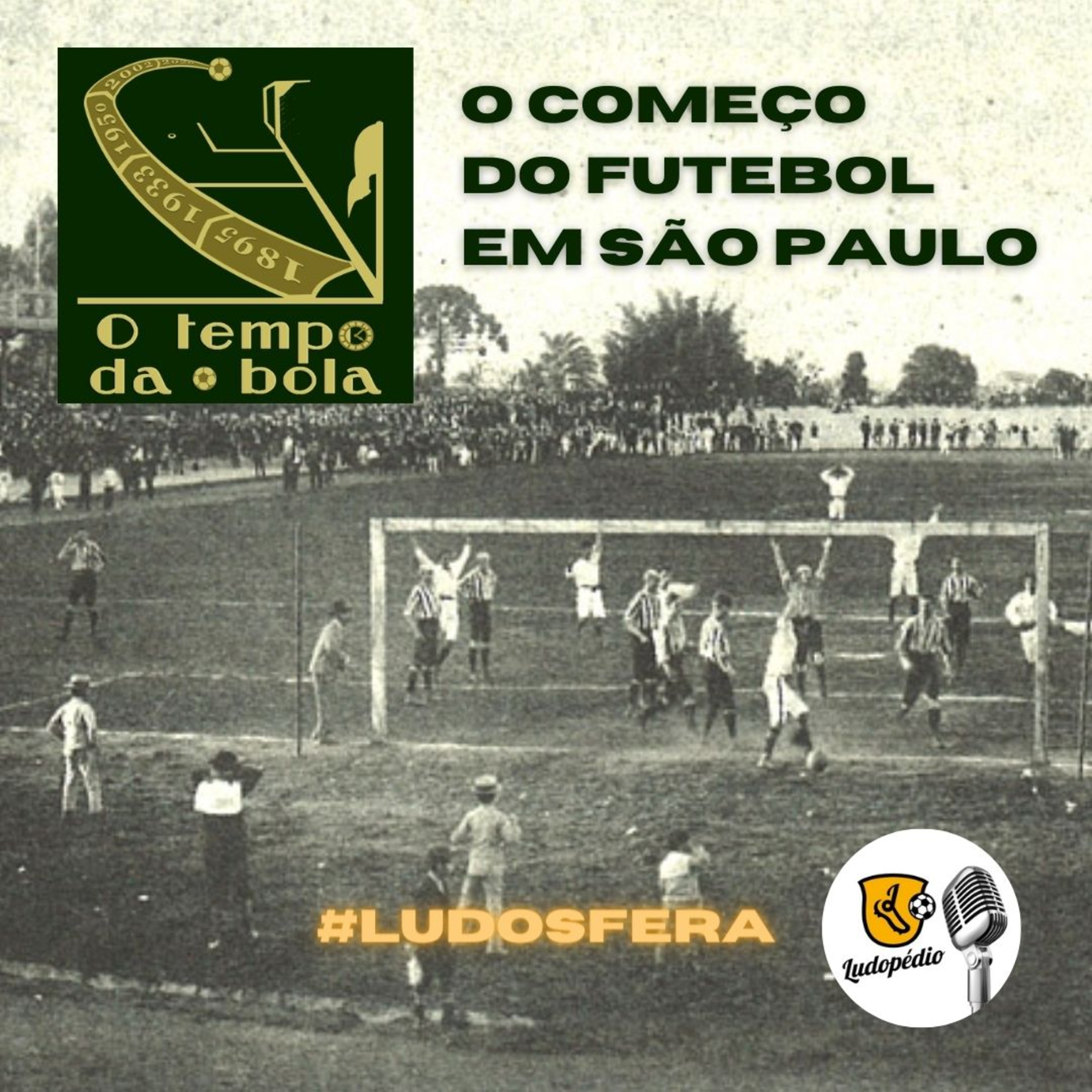 #Ludosfera