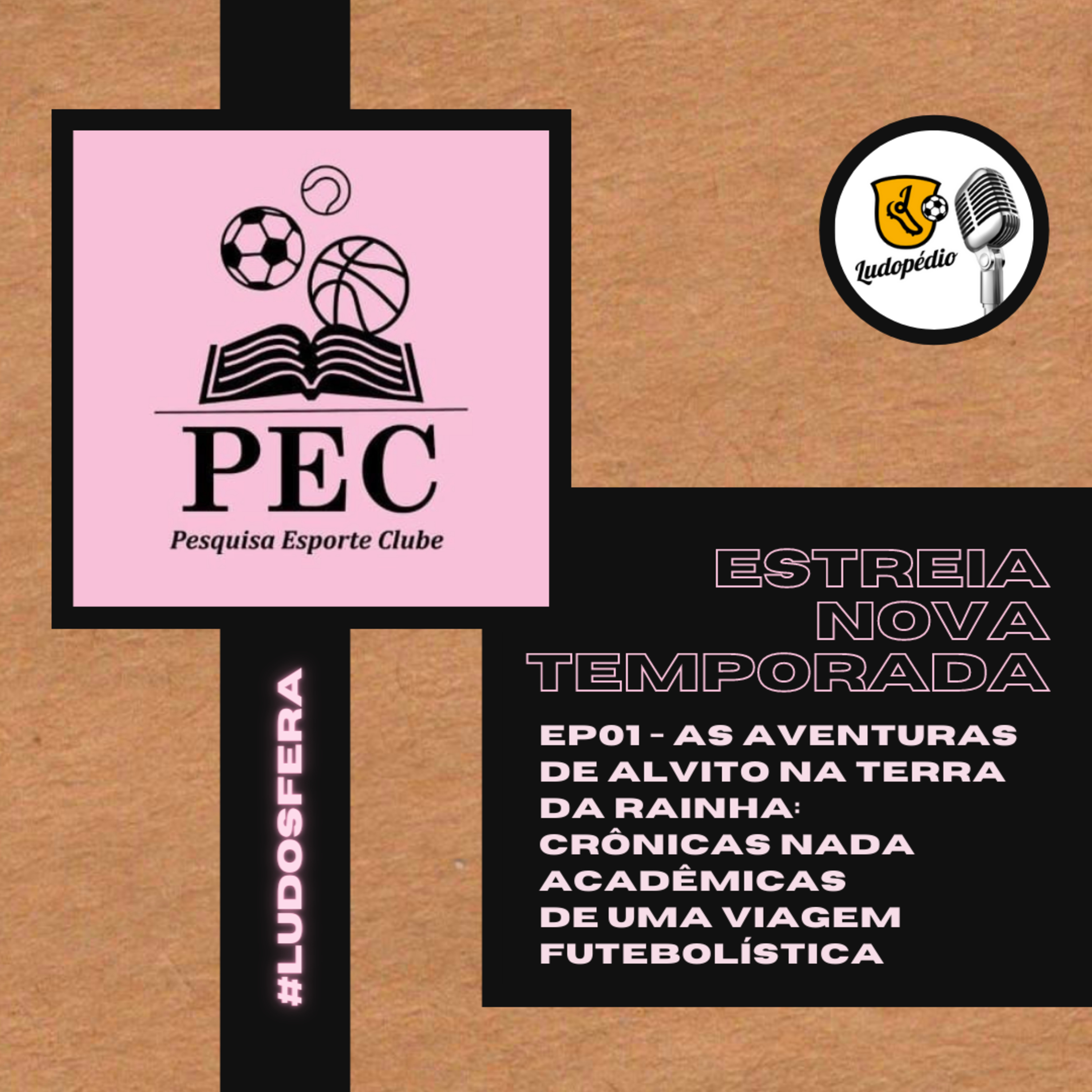 #Ludosfera