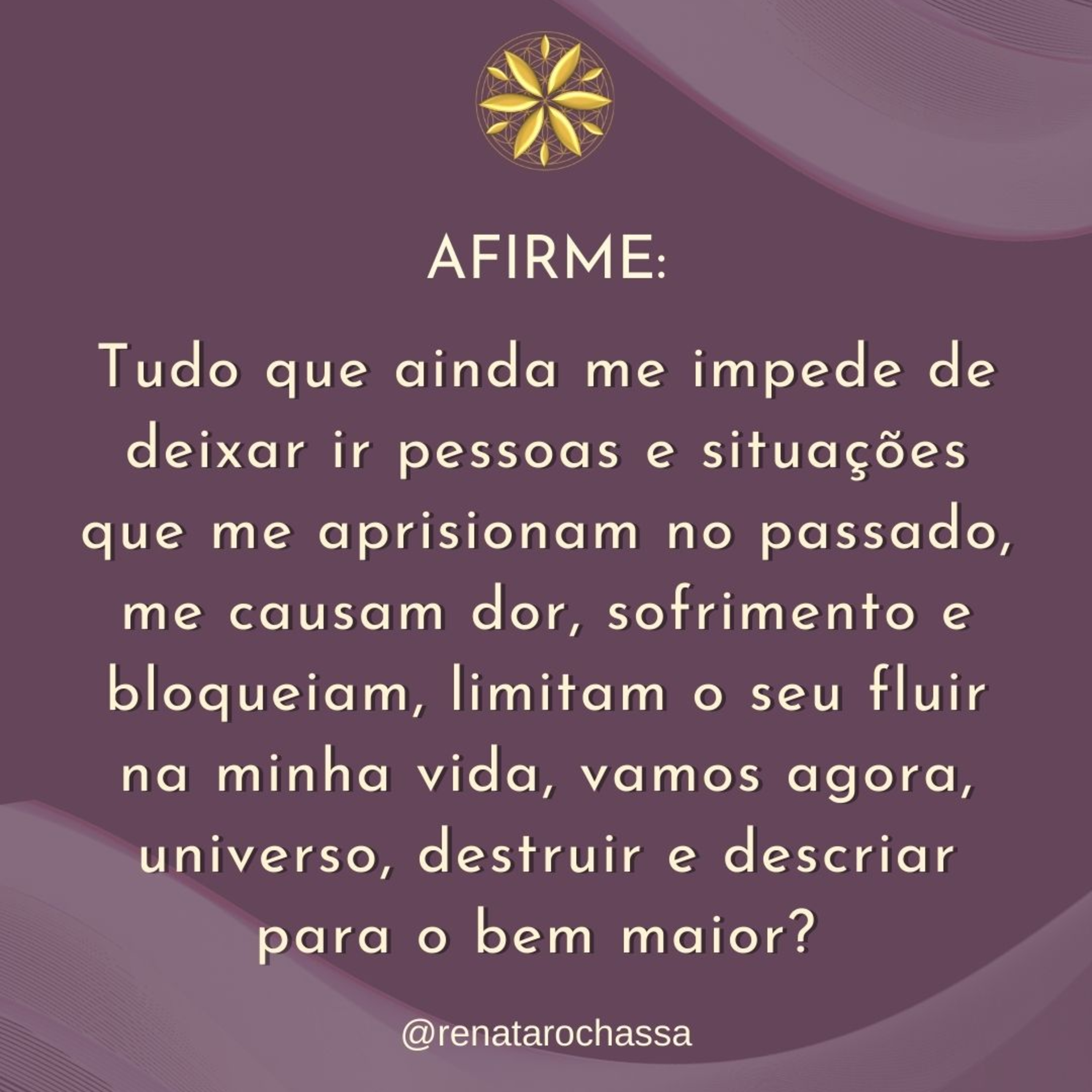 Renata Rocha - Consciência e Cura