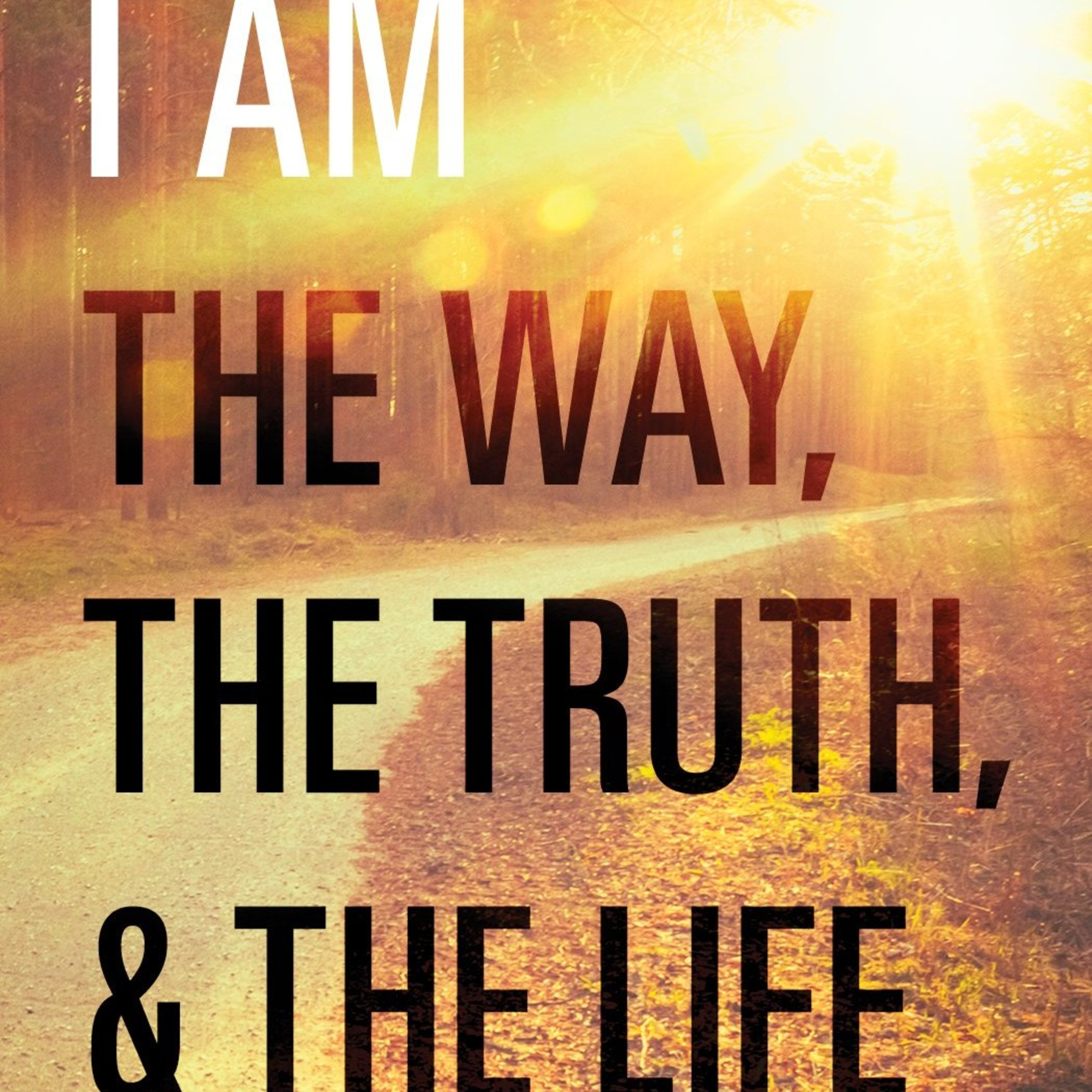 The Way The Truth And The Life. episode artwork