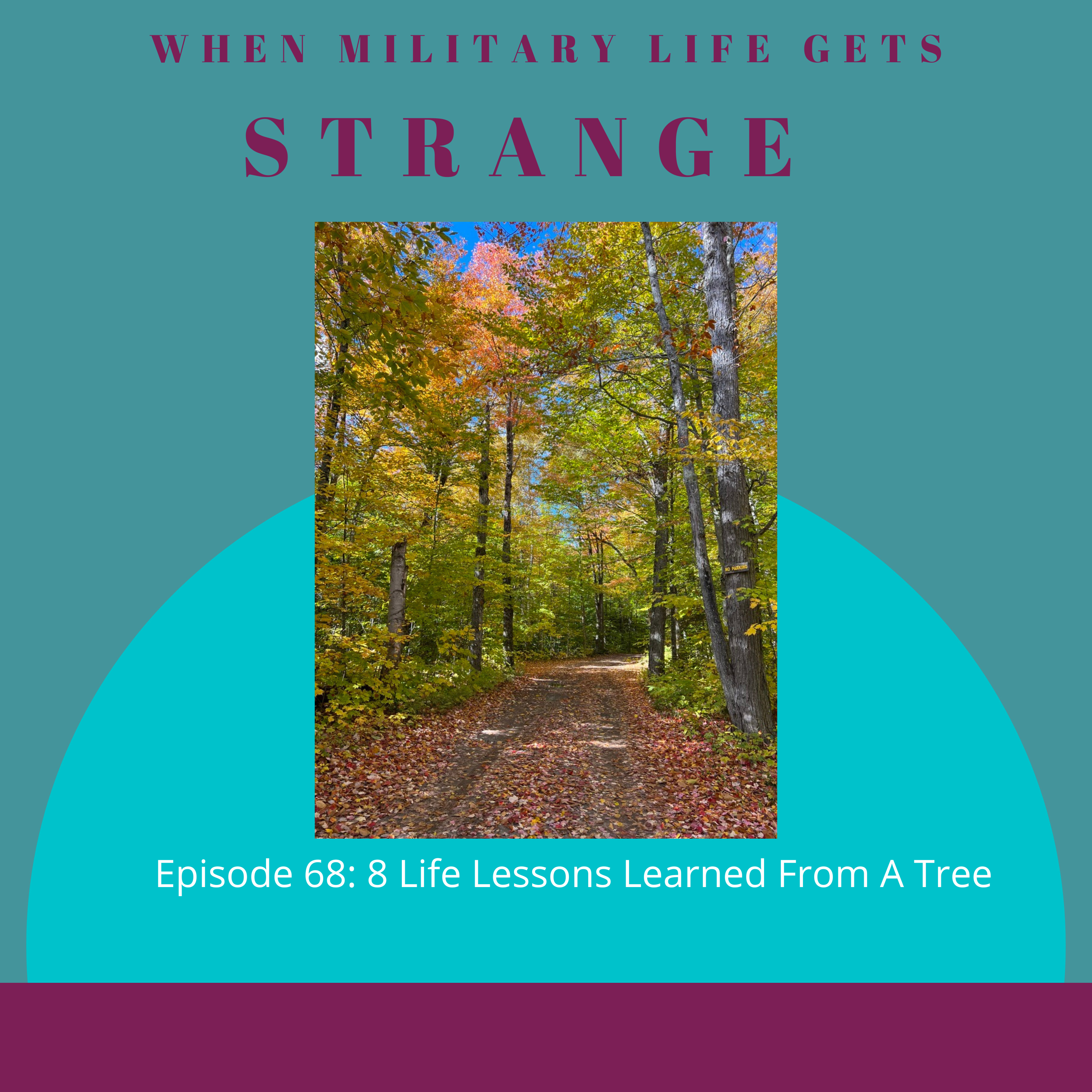 8 Life Lessons Learned From a Tree