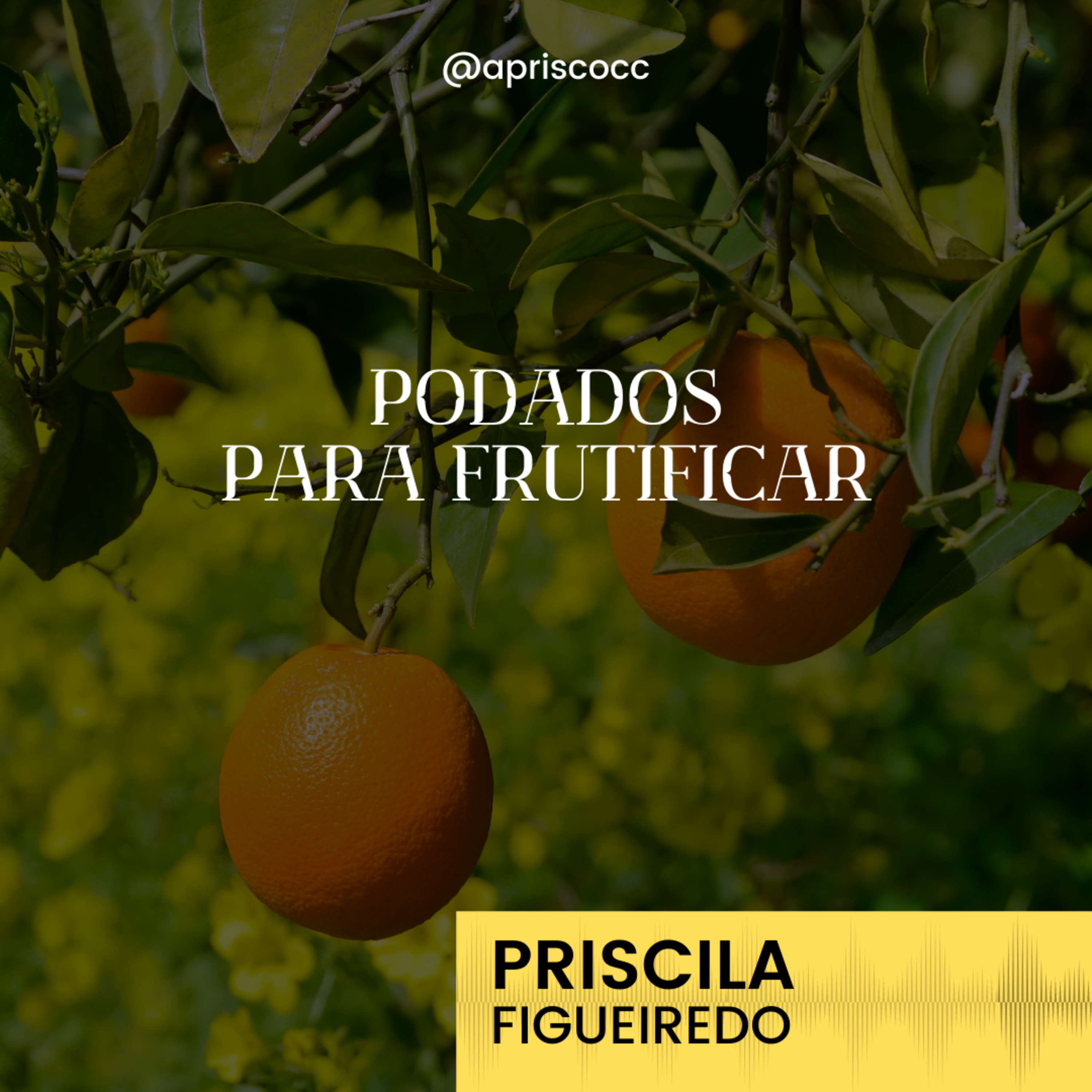 Aprisco Comunidade Cristã