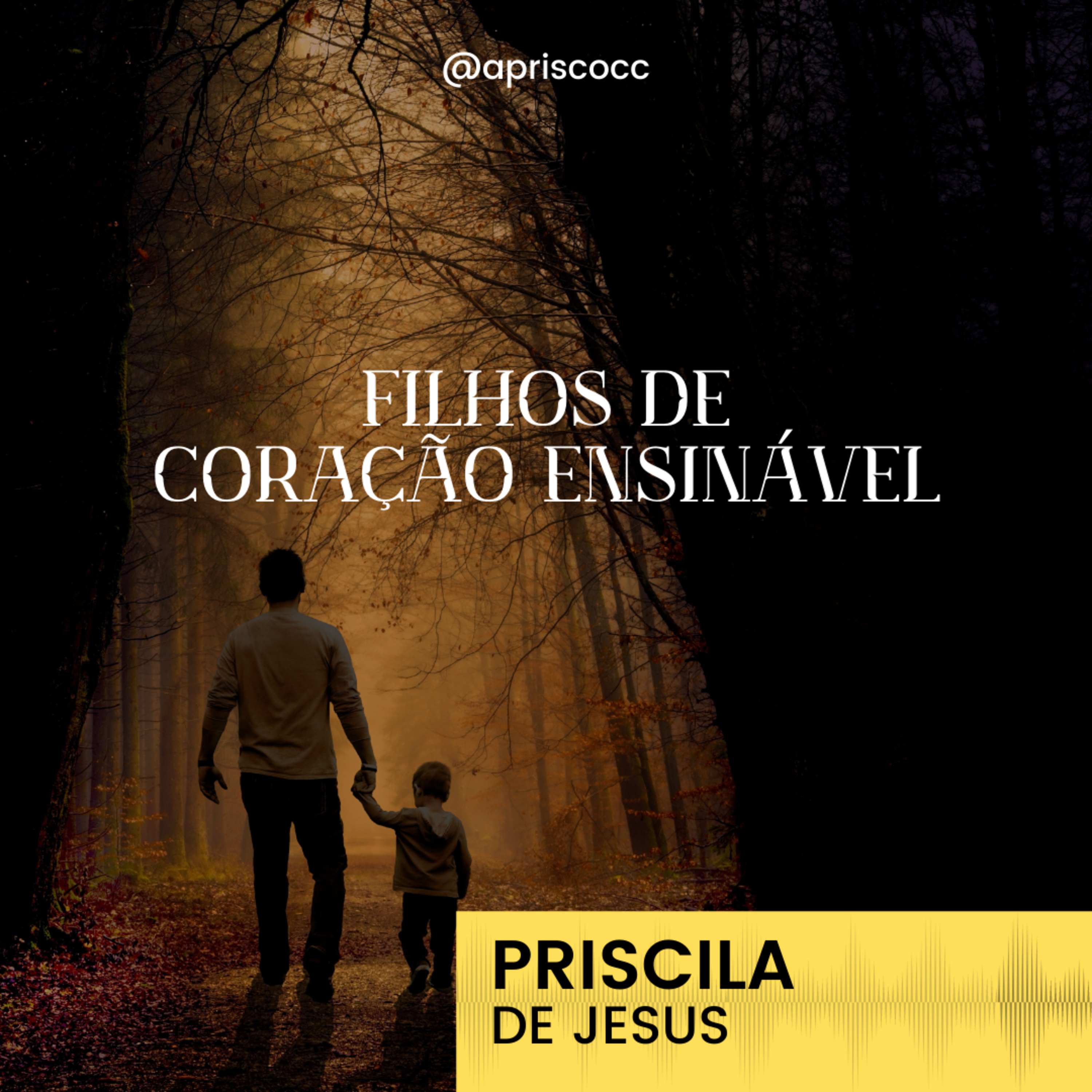 Aprisco Comunidade Cristã