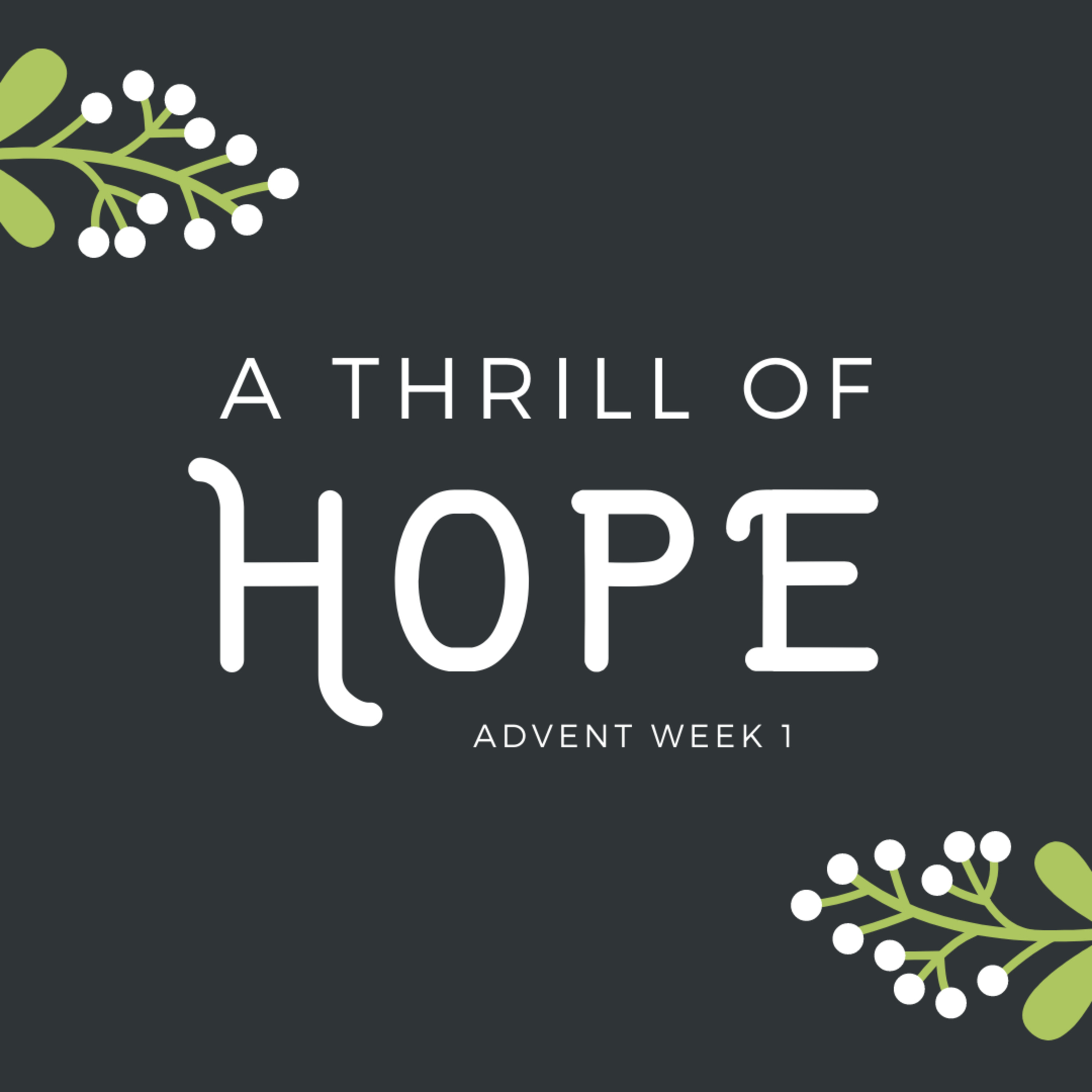 EP328: Preparing the Holiday Season | Gratefulness During Entitlement | Week 1 of Advent: Hope episode artwork