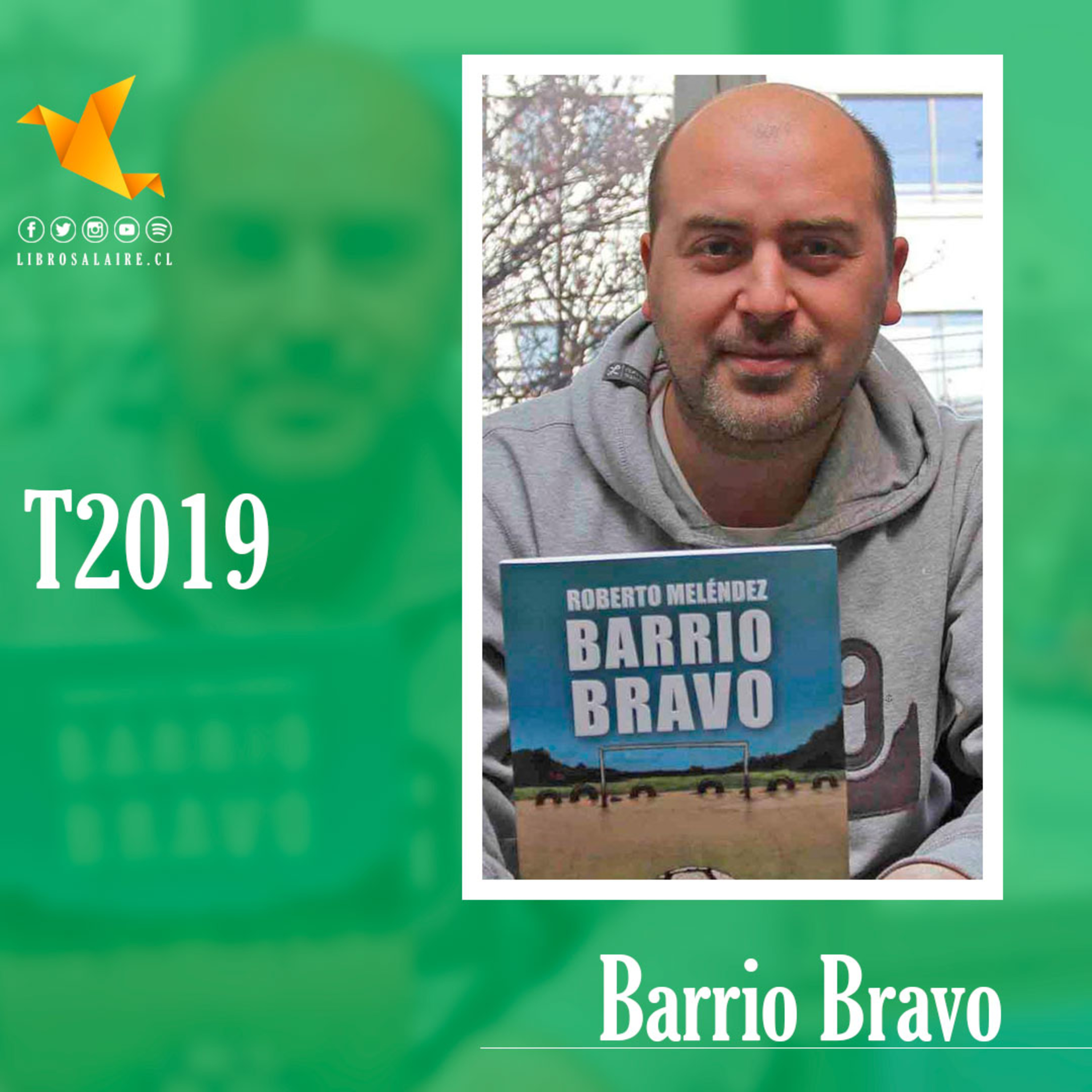 Portada de Libros al Aire