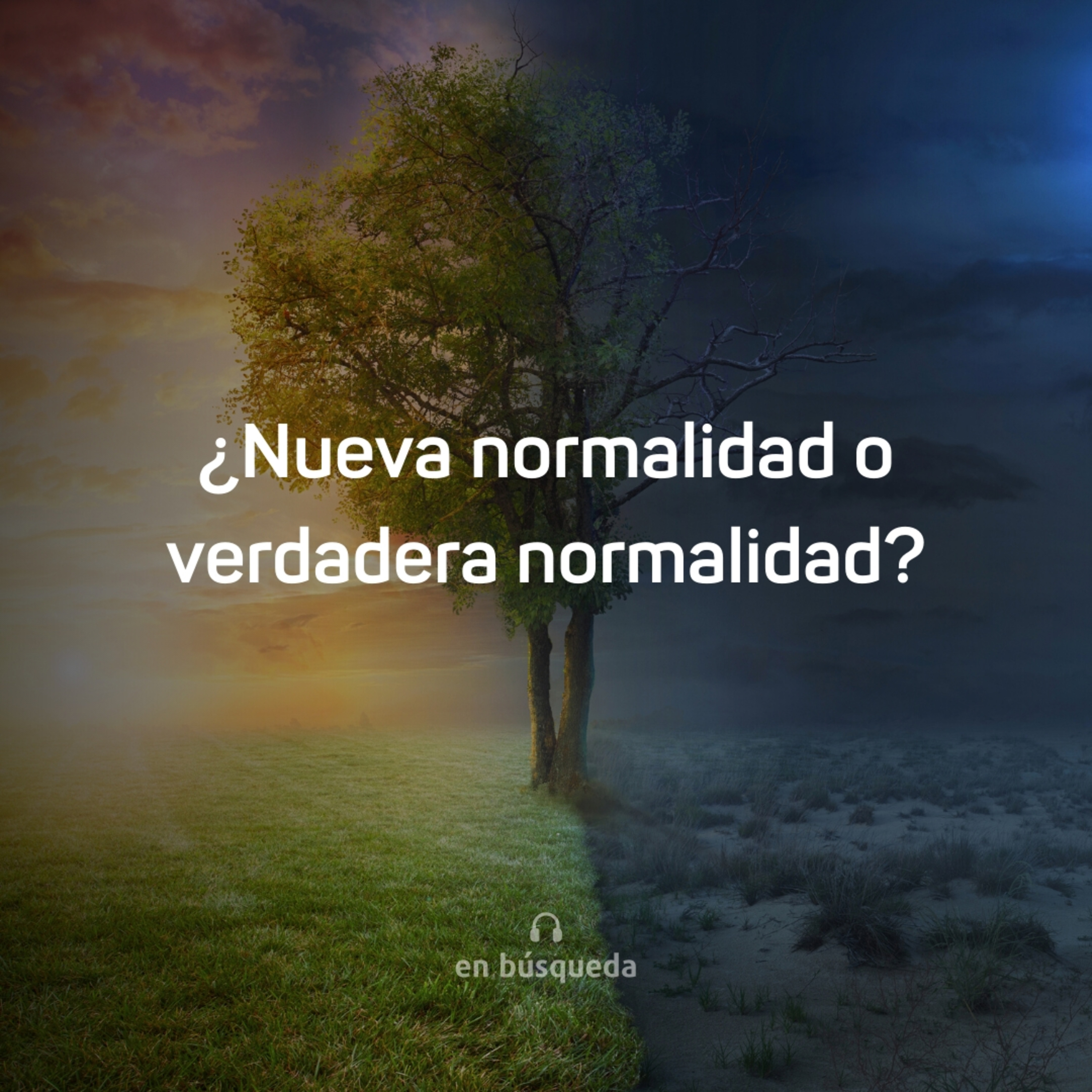 En búsqueda