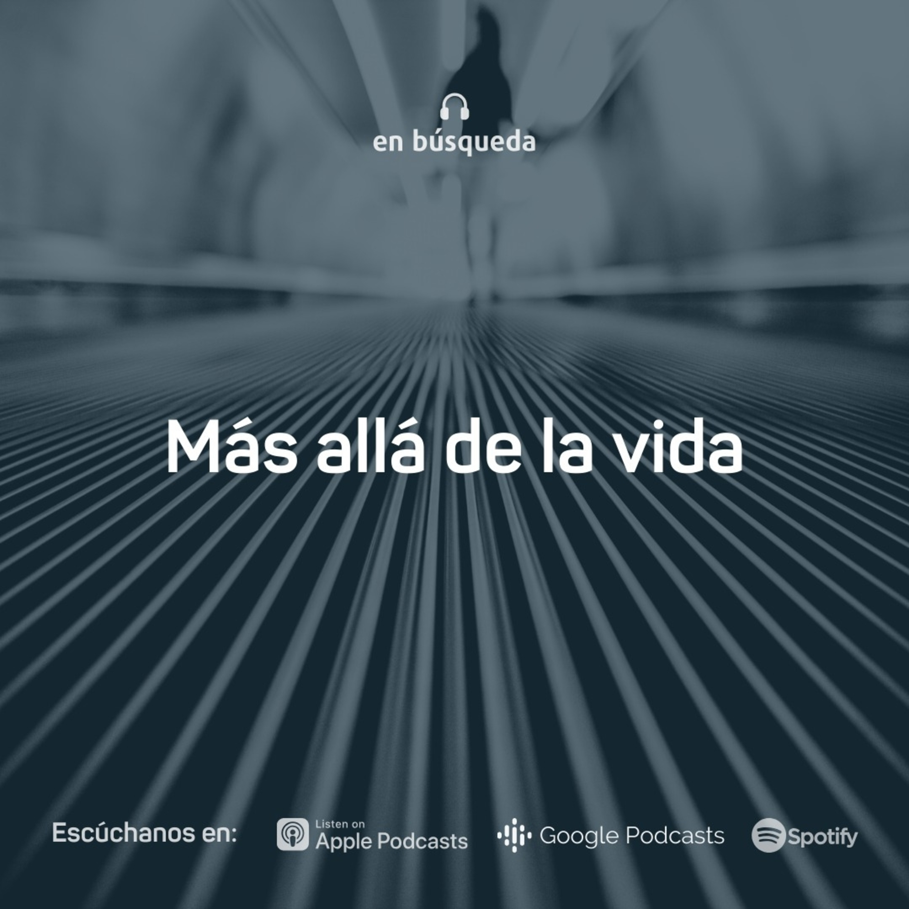 En búsqueda