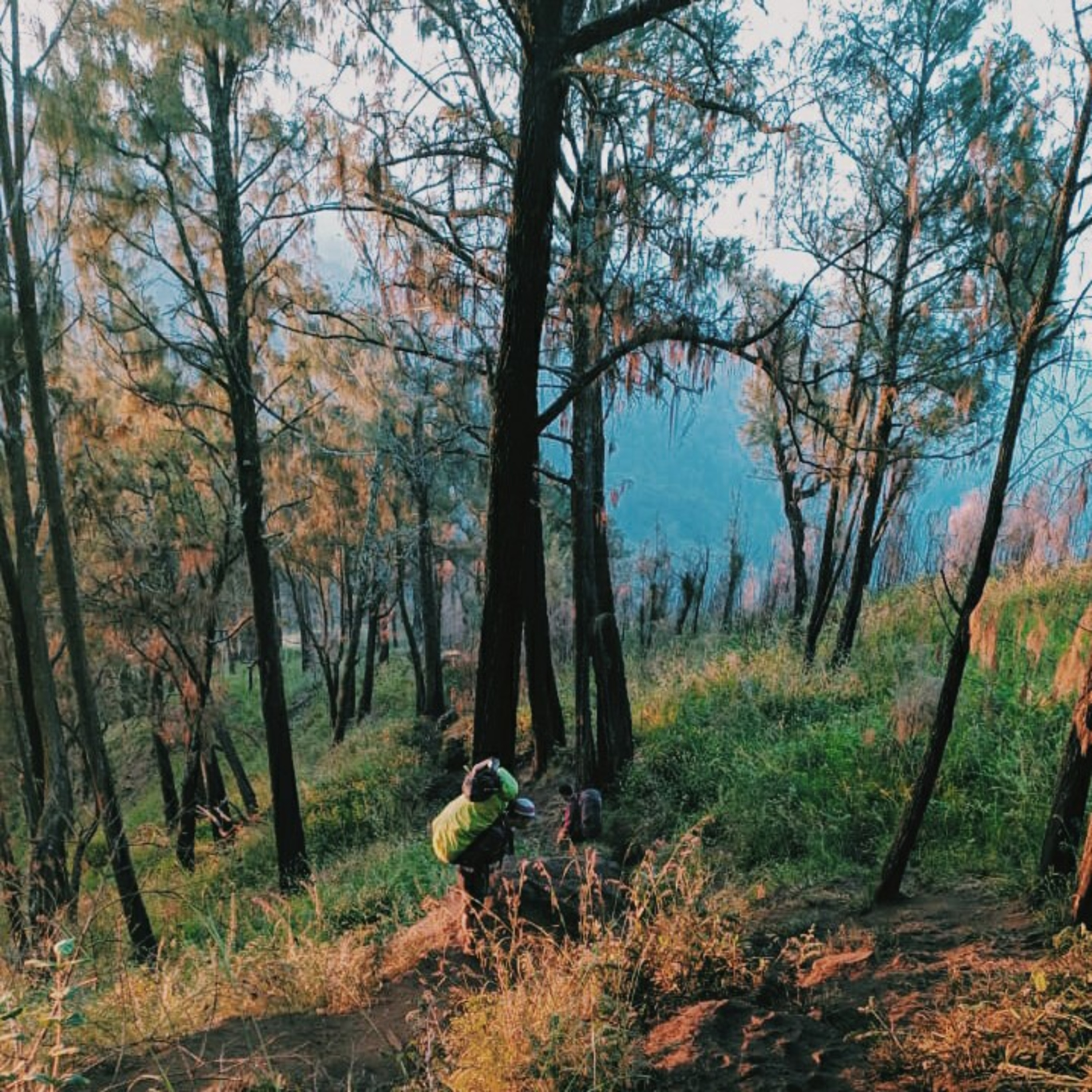 Jejak Lestari Podcast