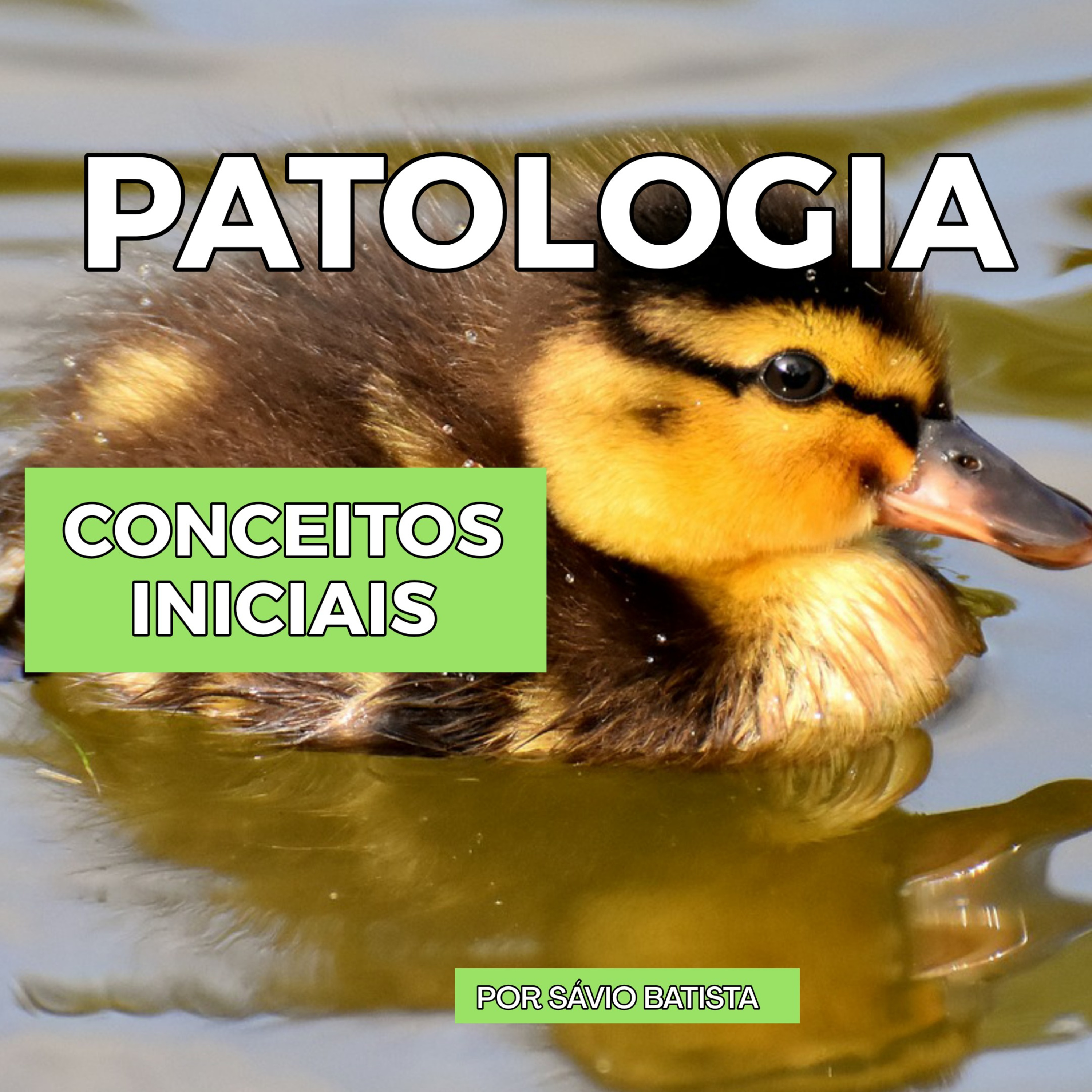 AMILOIDES