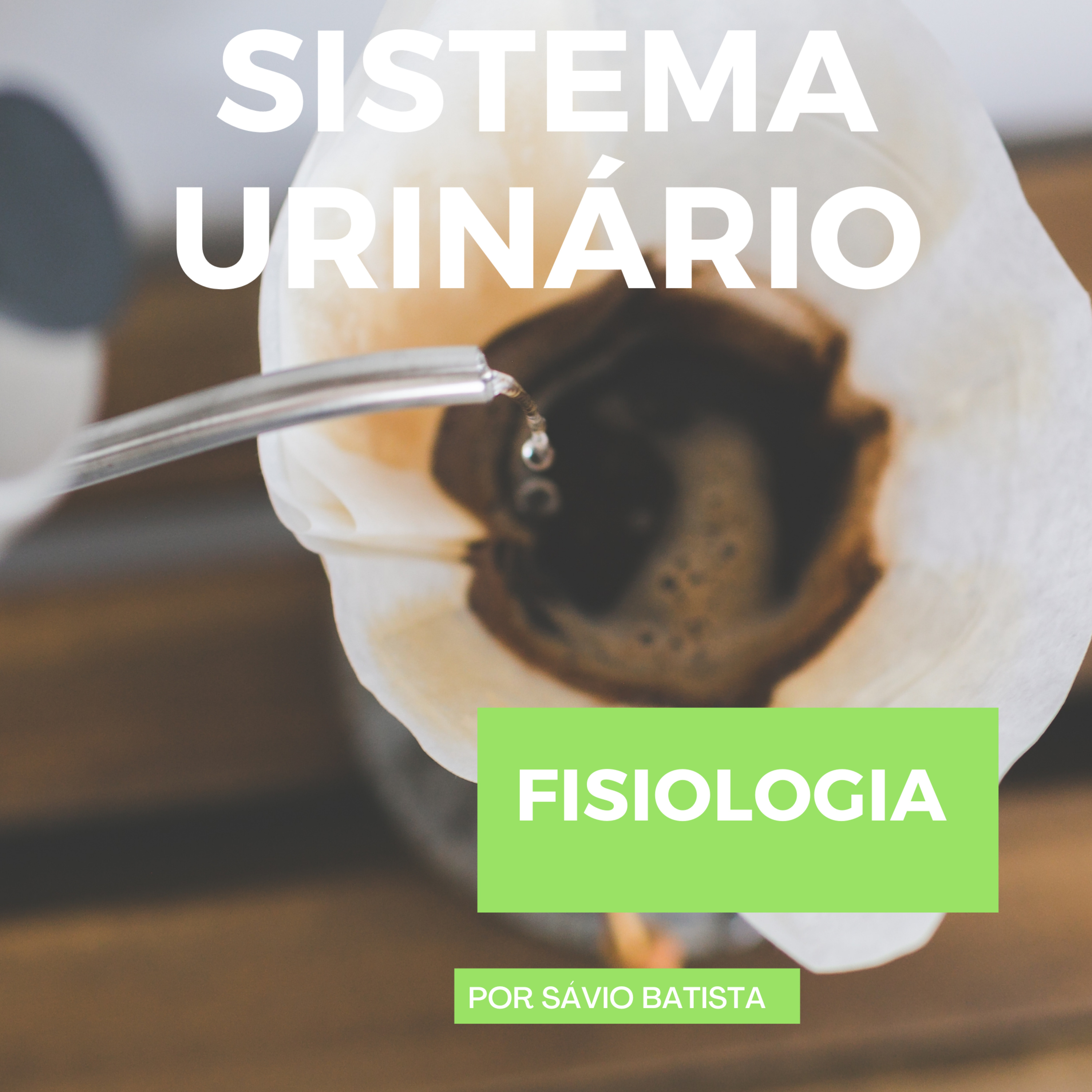 PRINCIPIOS INICIAIS - FISIOLOGIA RENAL