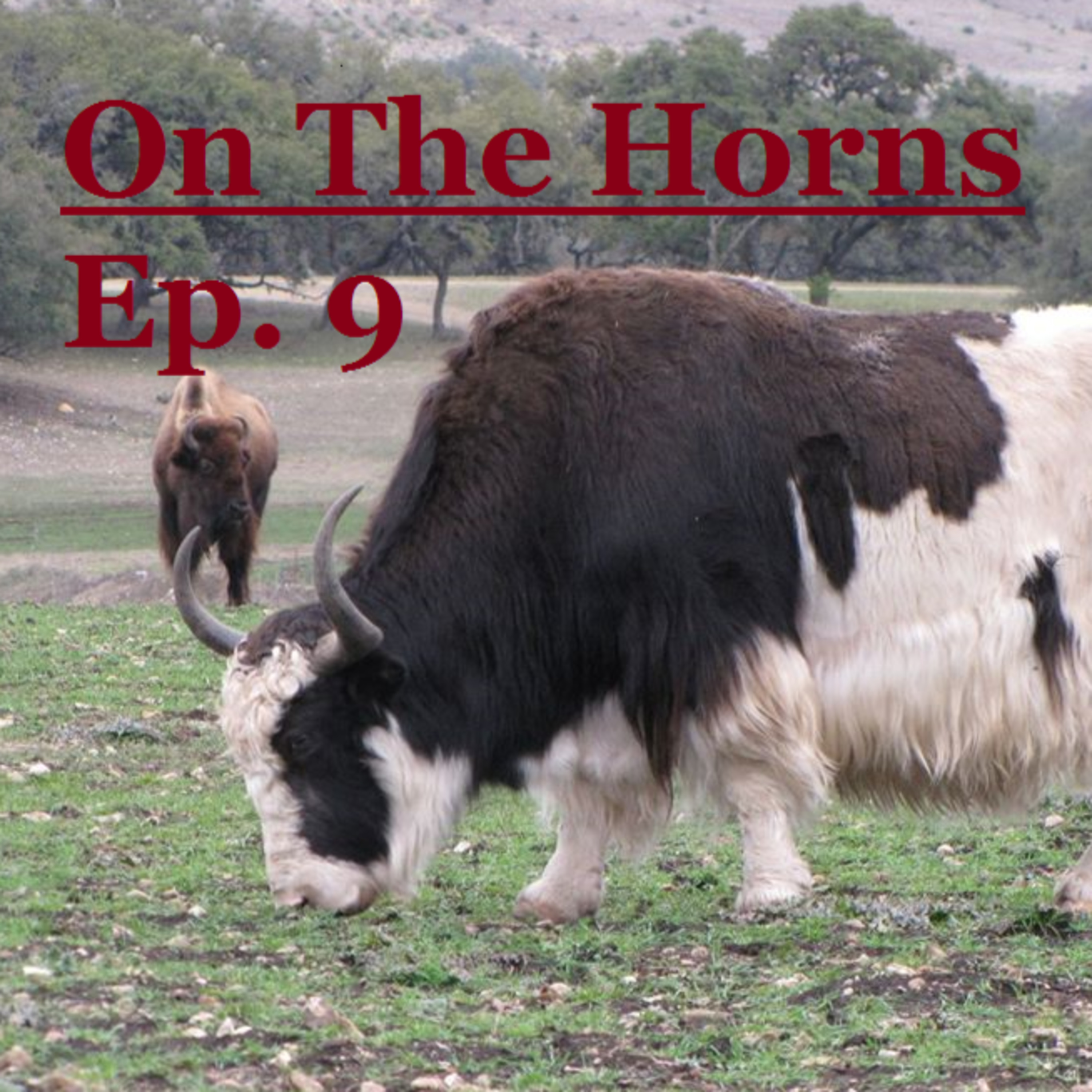 On The Horns