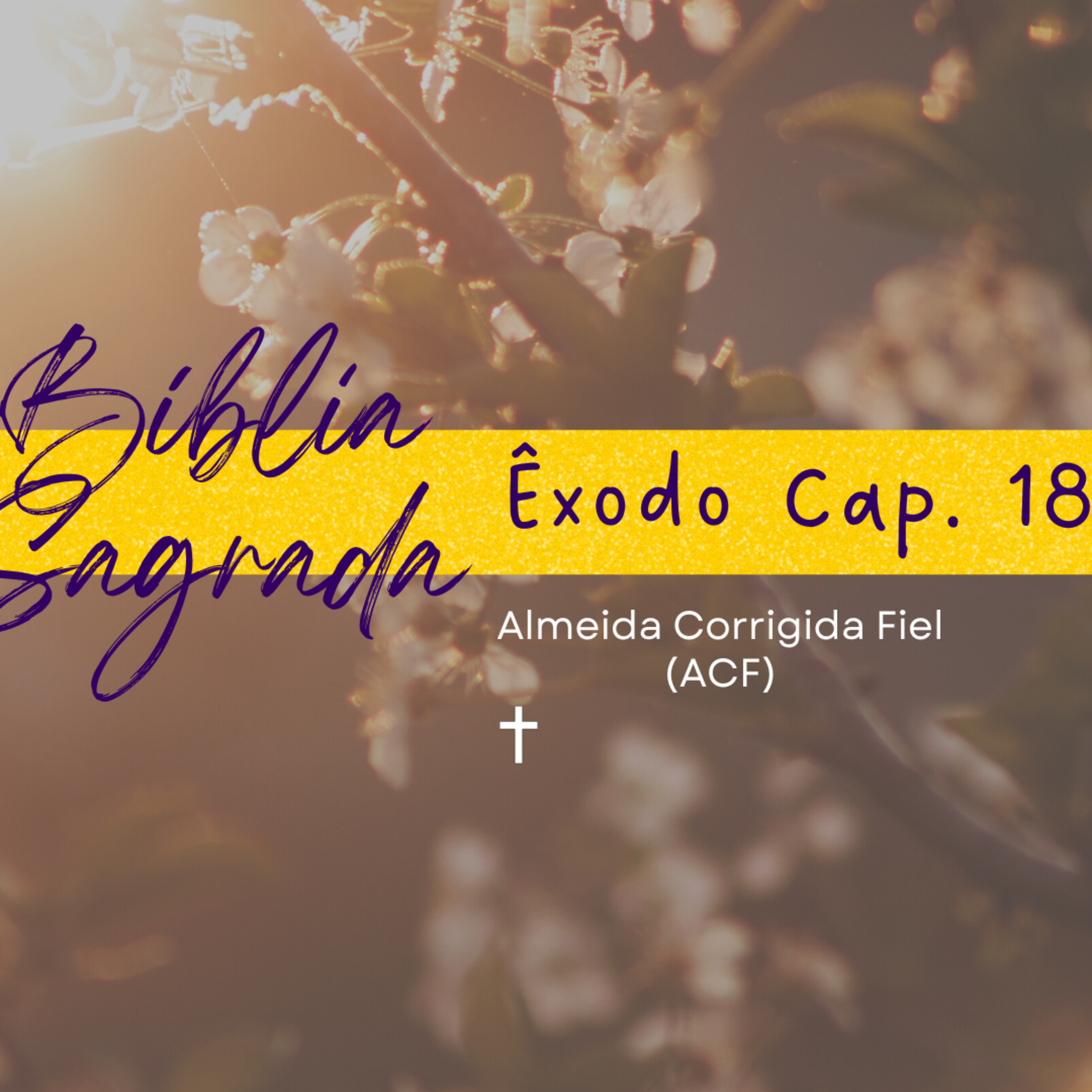 Biblia Sagrada: Êxodo Cap. 18