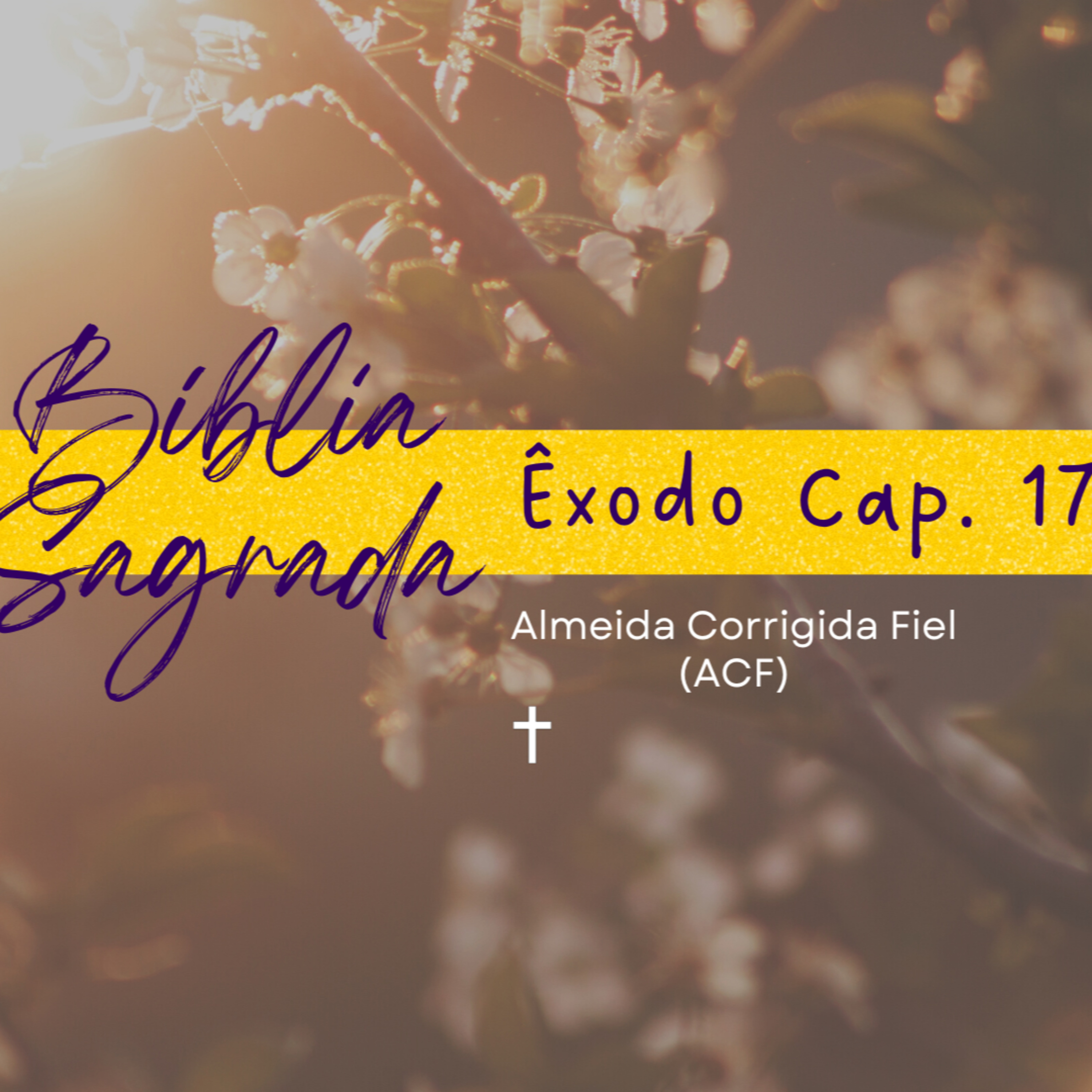 Bíblia Sagrada - Êxodo Cap. 17