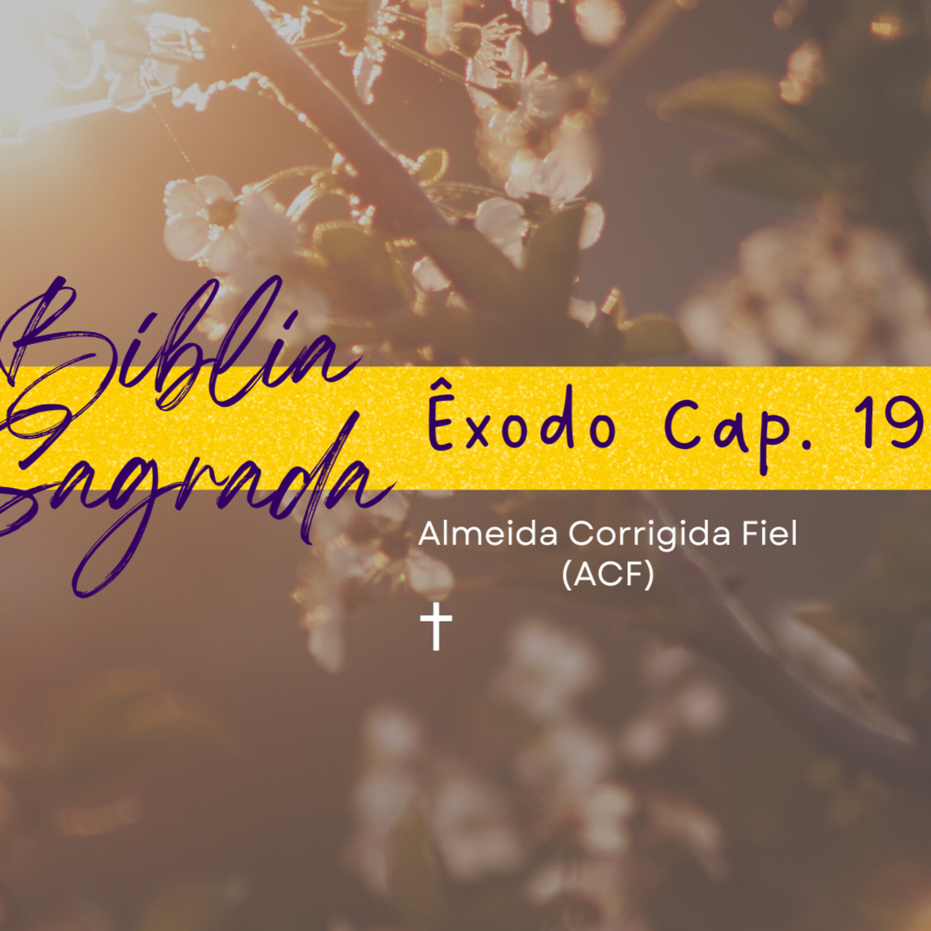 Biblia Sagrada: Êxodo Cap. 19