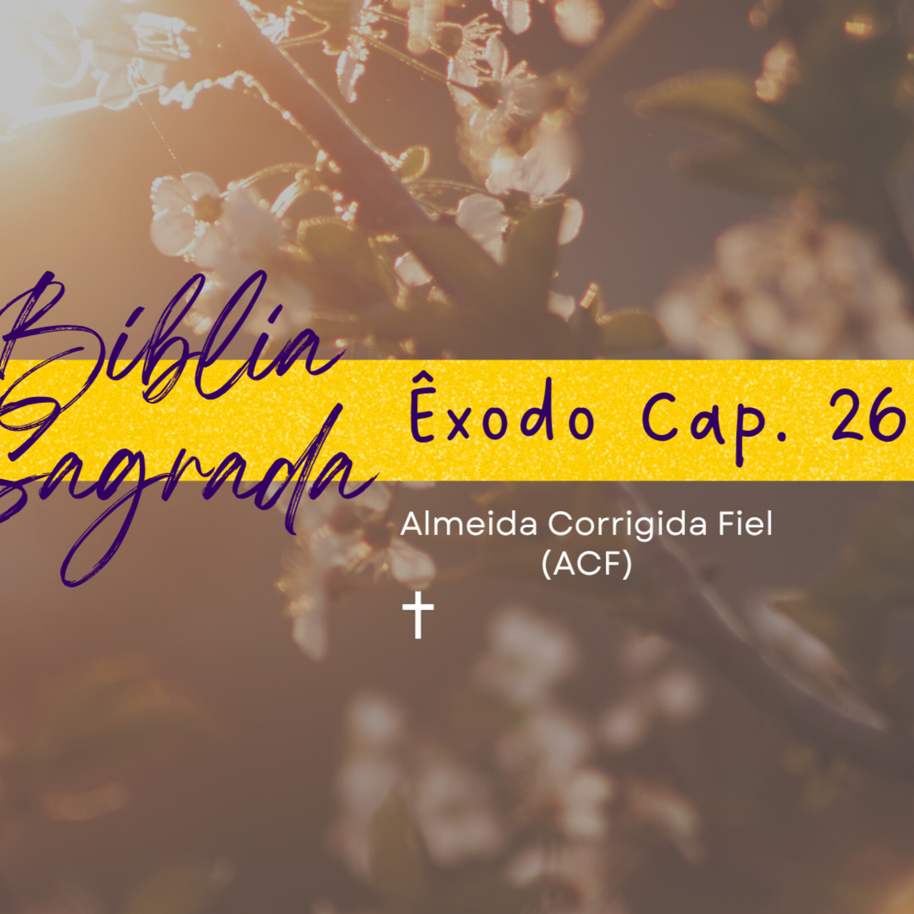 Bíblia Sagrada: Êxodo Cap. 26