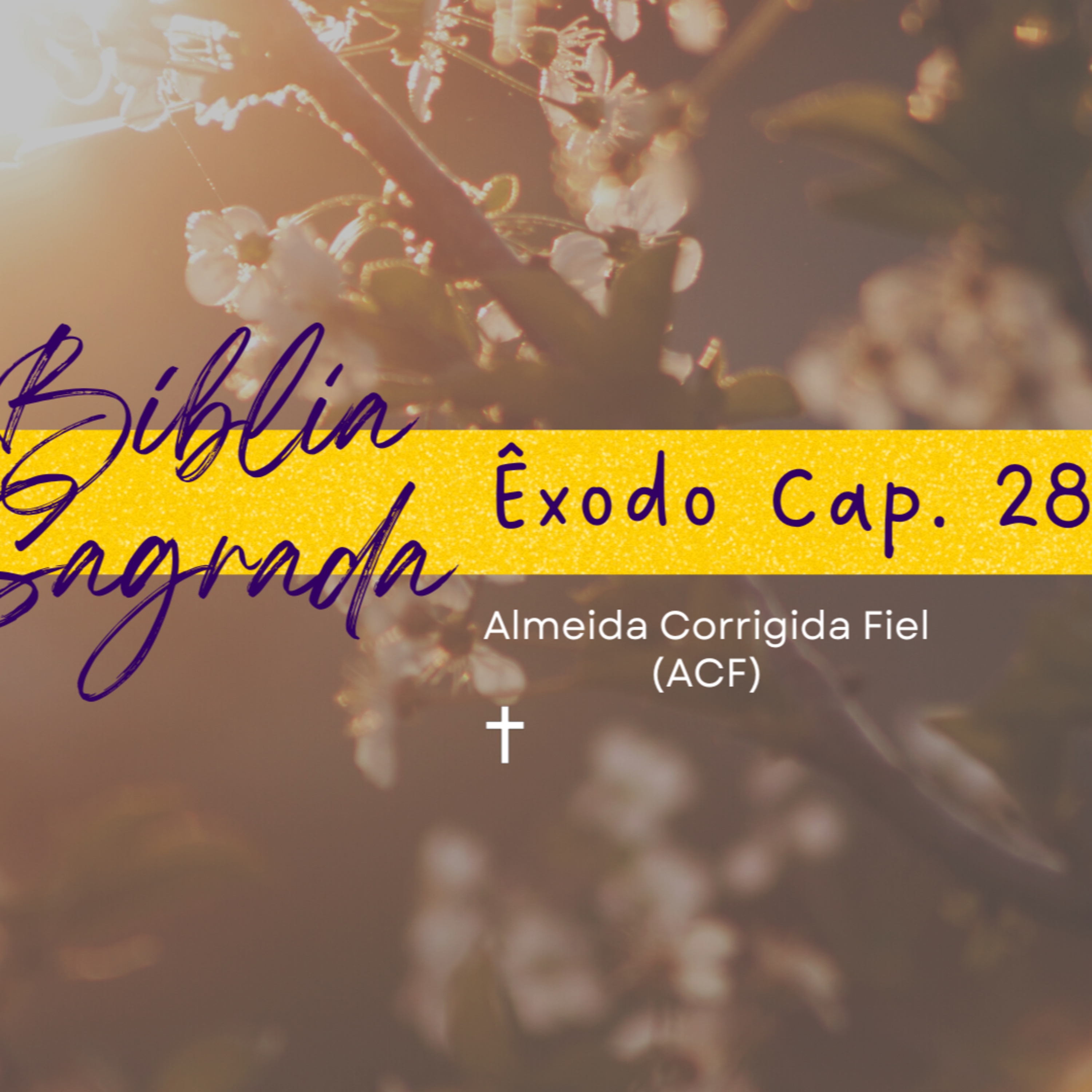 Bíblia Sagrada: Êxodo Cap. 28 episode artwork