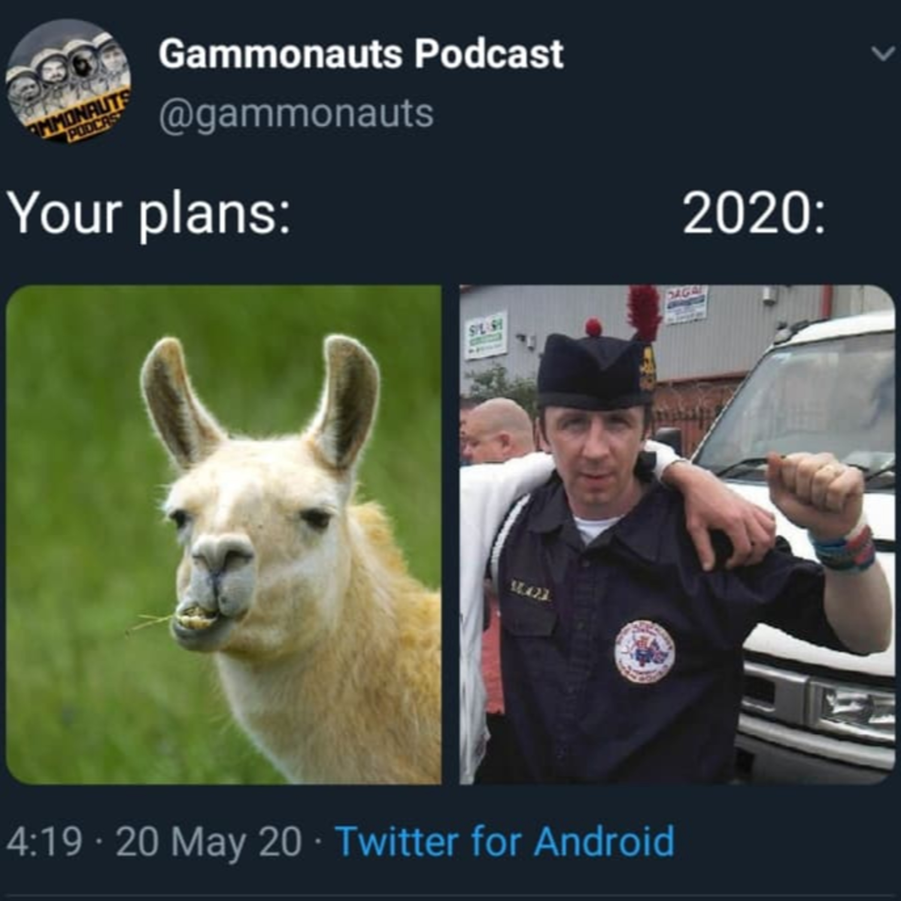 Gammonauts