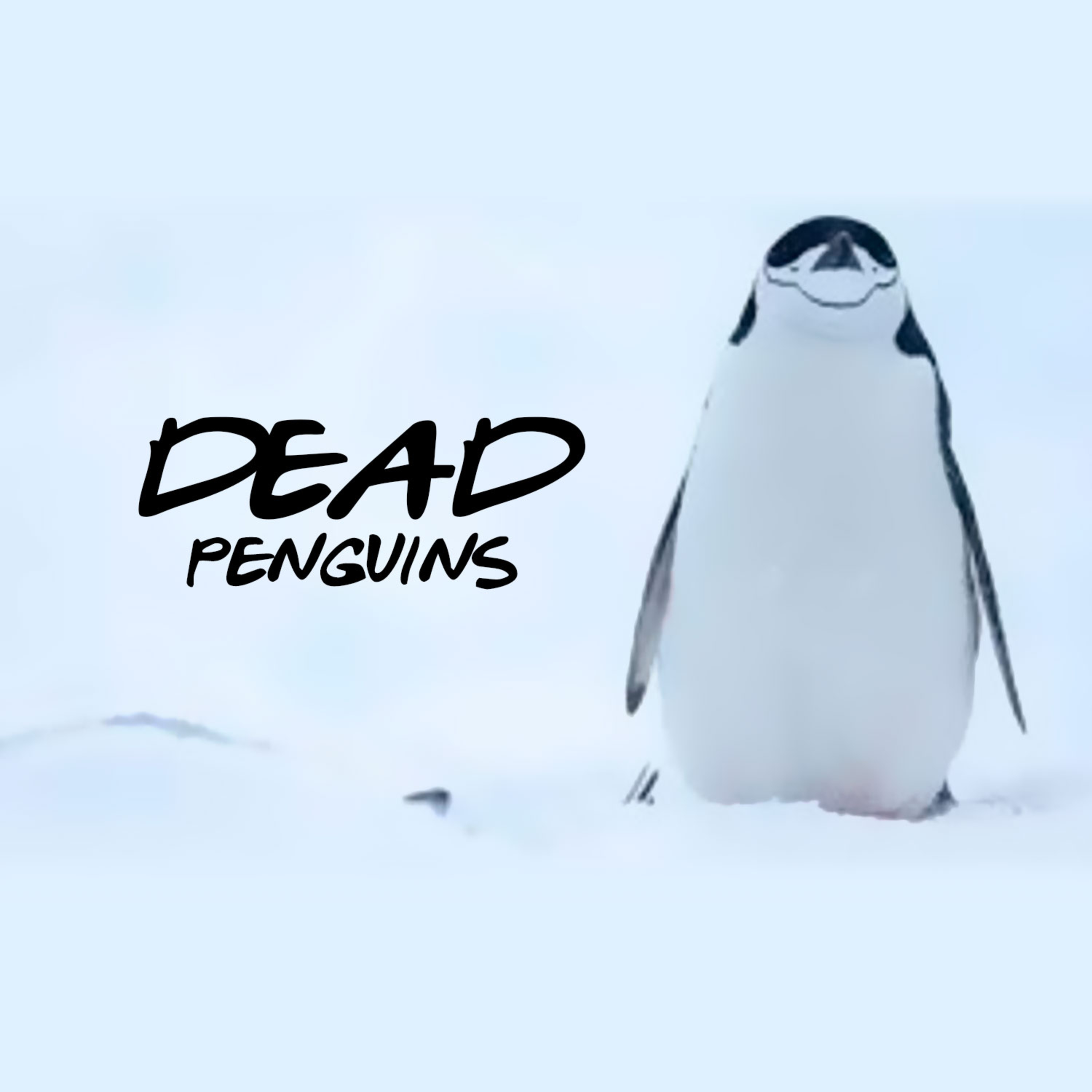 Penguimails - 01 episode artwork